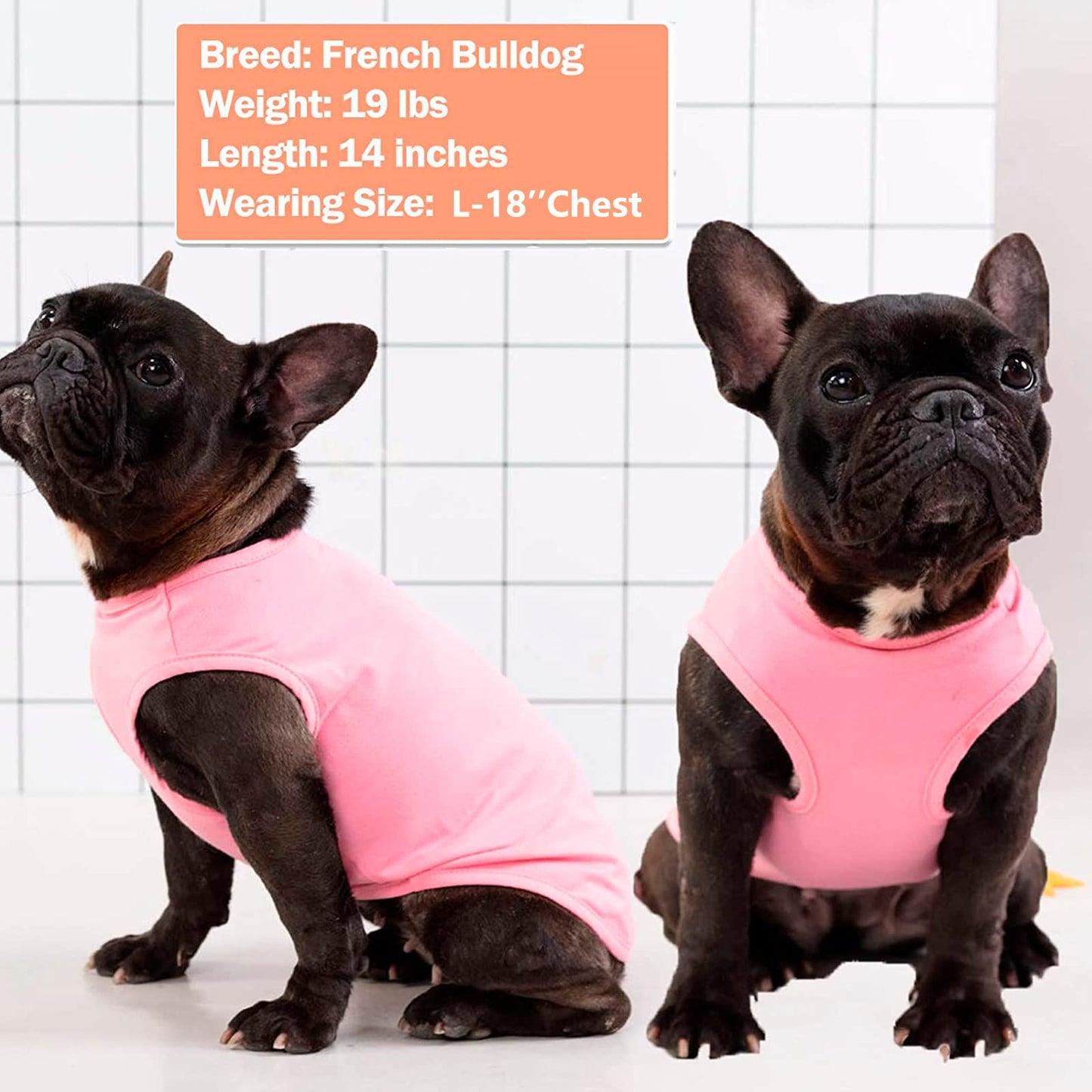 KYEESE 2Pack Dog Shirt, Soft Striped Dogs T Shirts, Lightweight Doggie Tank Top Cat Clothes, Sleeveless Dog Shirt for Small Dogs, Stretchy Pet Vest, Pink, Medium