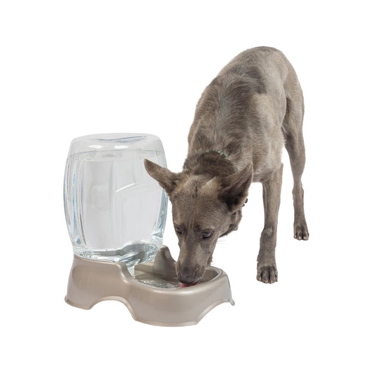 Petmate Pet Cafe Cat and Dog Water Dispenser - Water Bowl for Cats and Dogs, USA Made, 3 GAL, Pearl Tan