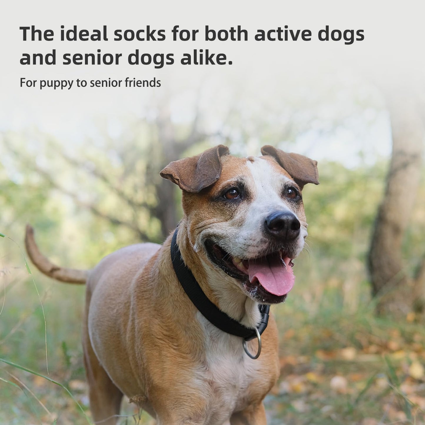 PUPTECK Anti-Slip Dog Socks with Double Sides Grips for Small Medium Large Dogs Hardwood Floors Prevents Licking, Dog Shoes for Hot Pavement Traction Control Paw Protector for Senior Dogs, Grey L