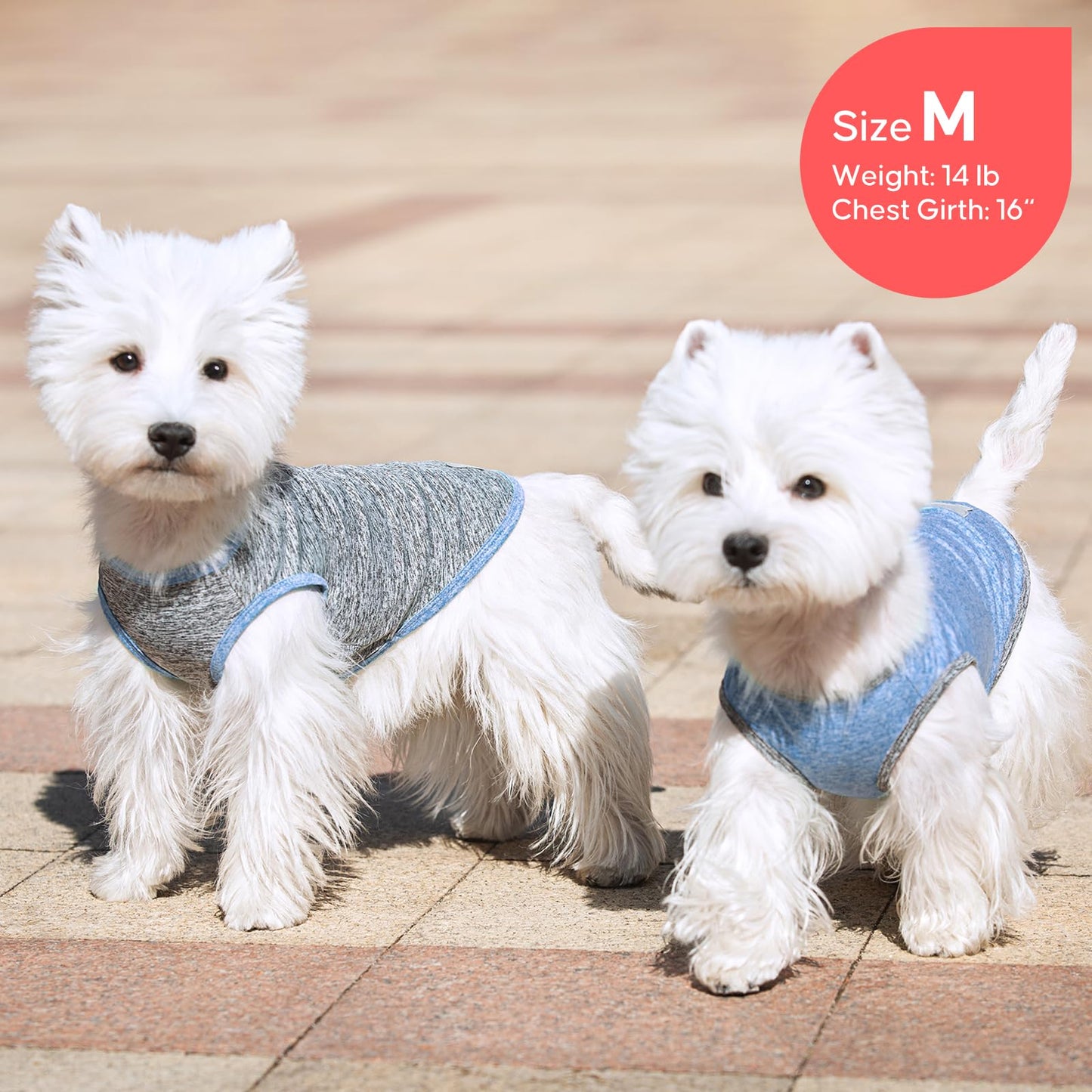 KYEESE 2Pack Dog Shirt, Lightweight Sun Protection Sleeveless Dog T Shirts for Small Dogs Boy, Breathable Pet Reflective Tank Top Summer Dogs Clothes for Outdoor Walking, Grey+Light Blue, M