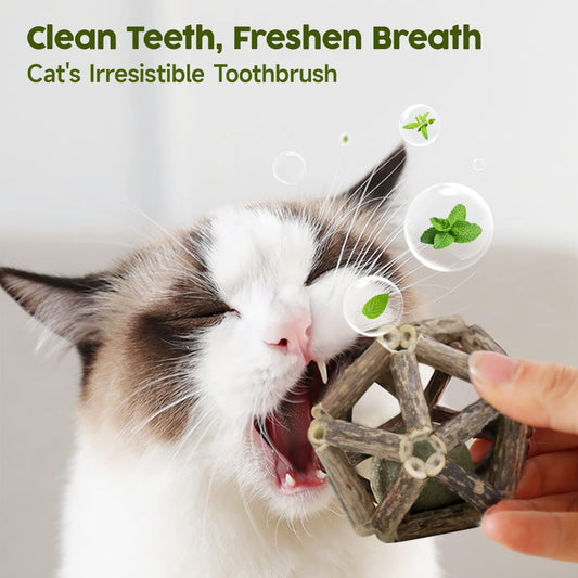 Potaroma Catnip Toys, 3Pcs Cat Toys Natural Silvervine Stick Cage Balls & Bell Ball for Indoor Cats, Kitten Cleaning Teeth Molar Matatabi Cat Chew Toy All Breeds
