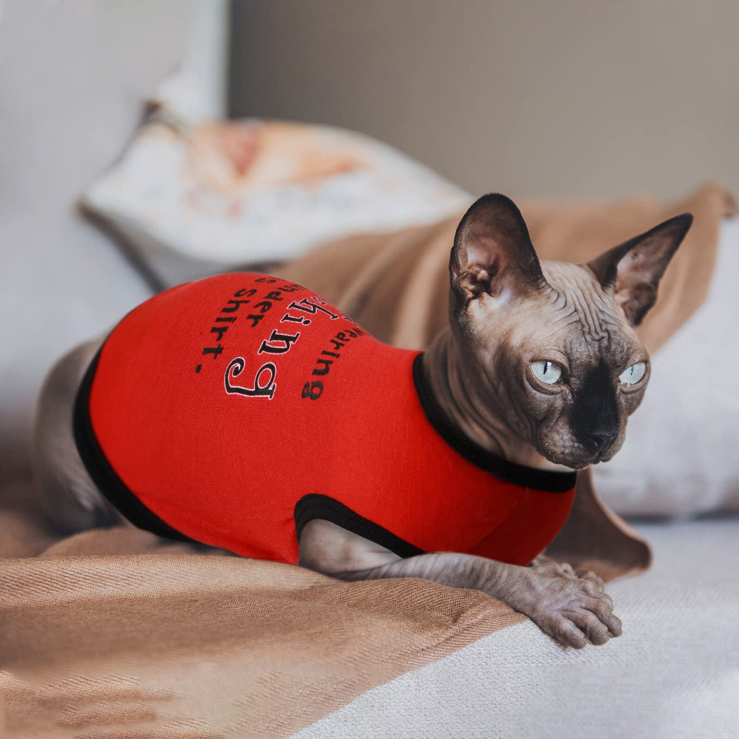 Reginary 8 Pcs Dog Clothes for Small Dogs Boy Summer Shirts Soft Breathable Chihuahua Yorkie Cute Pattern Sleeveless Puppy Cat Tank Top Tee Vest Fit for Mini and Medium Dogs(Small)