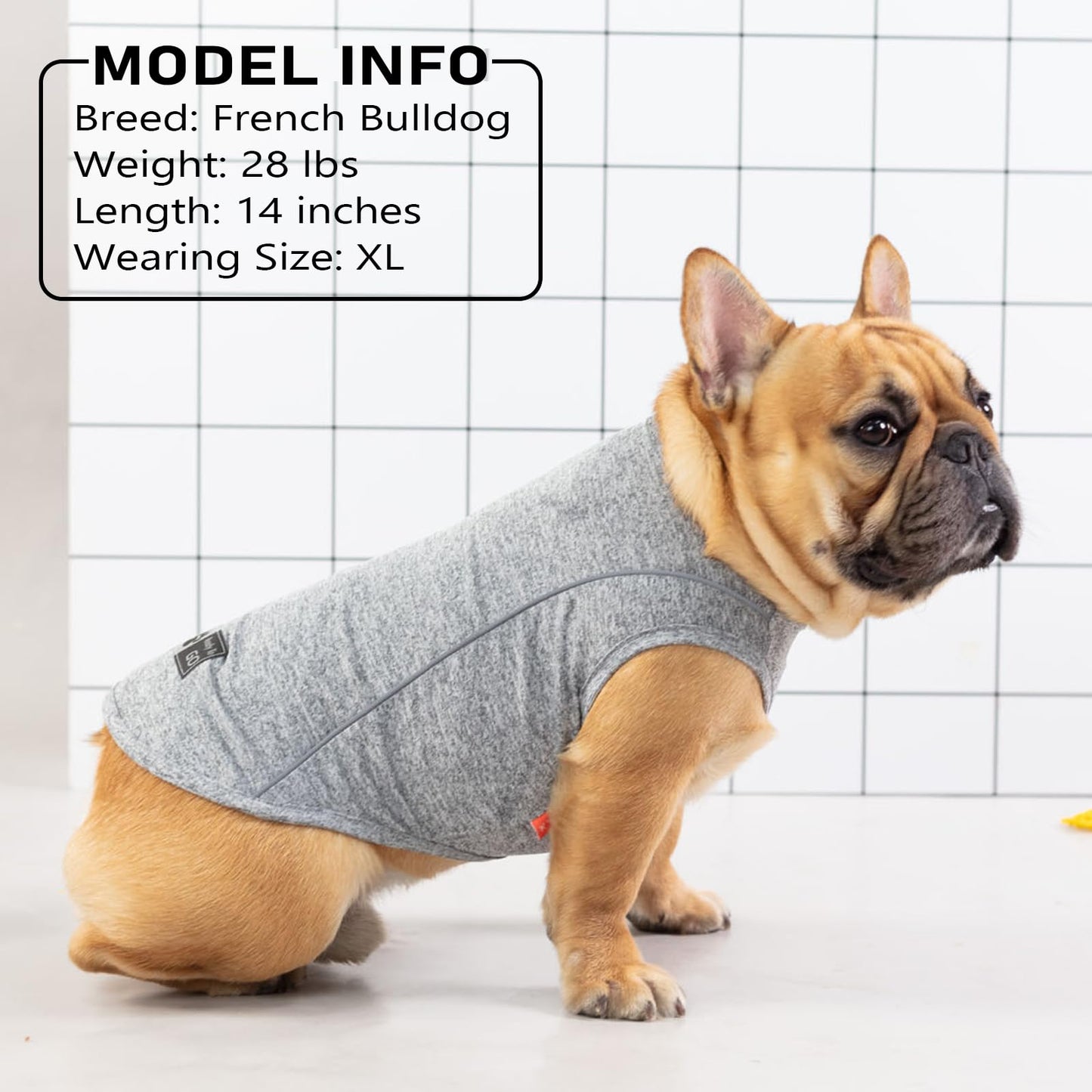 KYEESE Reflective Dog Shirt, Lightweight Sun Protection Dog T Shirts for Small Dogs Boy, Breathable Sleeveless Pet Tank Top High Visibility Summer Dogs Clothes for Night Walking Outdoor, Blue, M