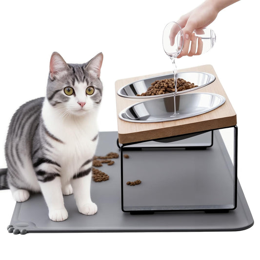 Upgraded Elevated Cat Bowls with Food Mat,15°Tilted Stand Anti Vomiting Raised Cat Dishes for Food and Water,2 Stainless Steel Bowls for Cats and Puppy