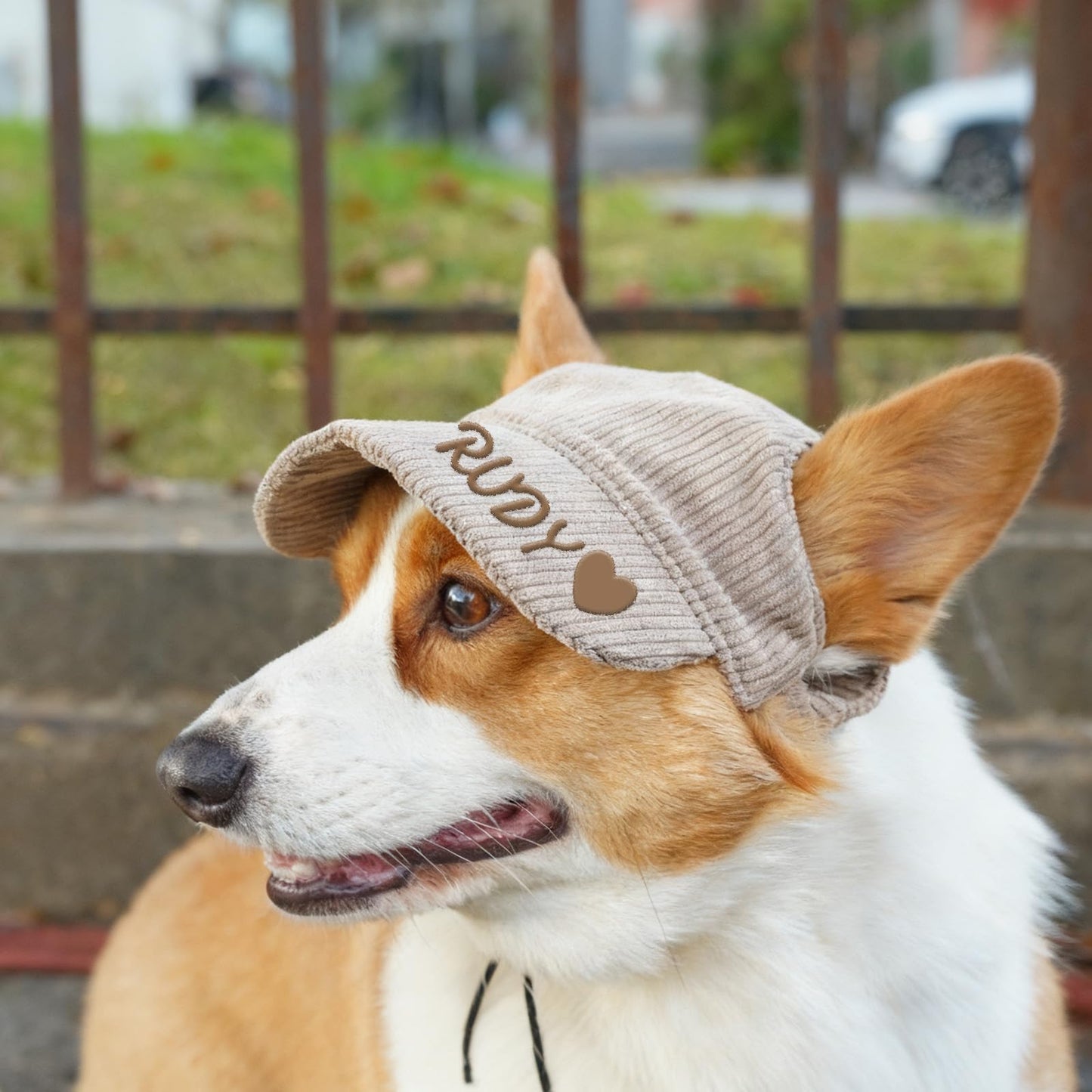 Personalized Dog Hat with Embroidered Name Puppy Hat Baseball Cap with Ear Holes Small Medium Large Size (Style 1)