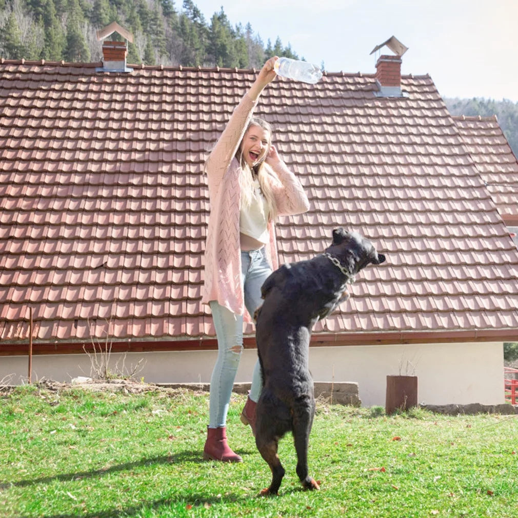 48-Inch Foldable Metal Dog Crate for Large Breeds with Double Doors, Divider, and Removable Tray (Black)
