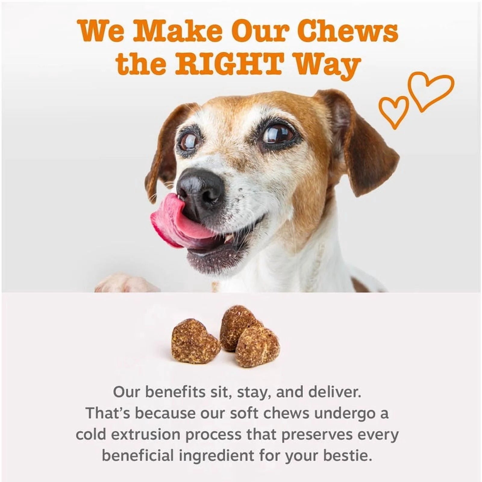 Turmeric Curcumin Chews for Dogs - Liver Support Formula with Bacon Flavor, 90 Count