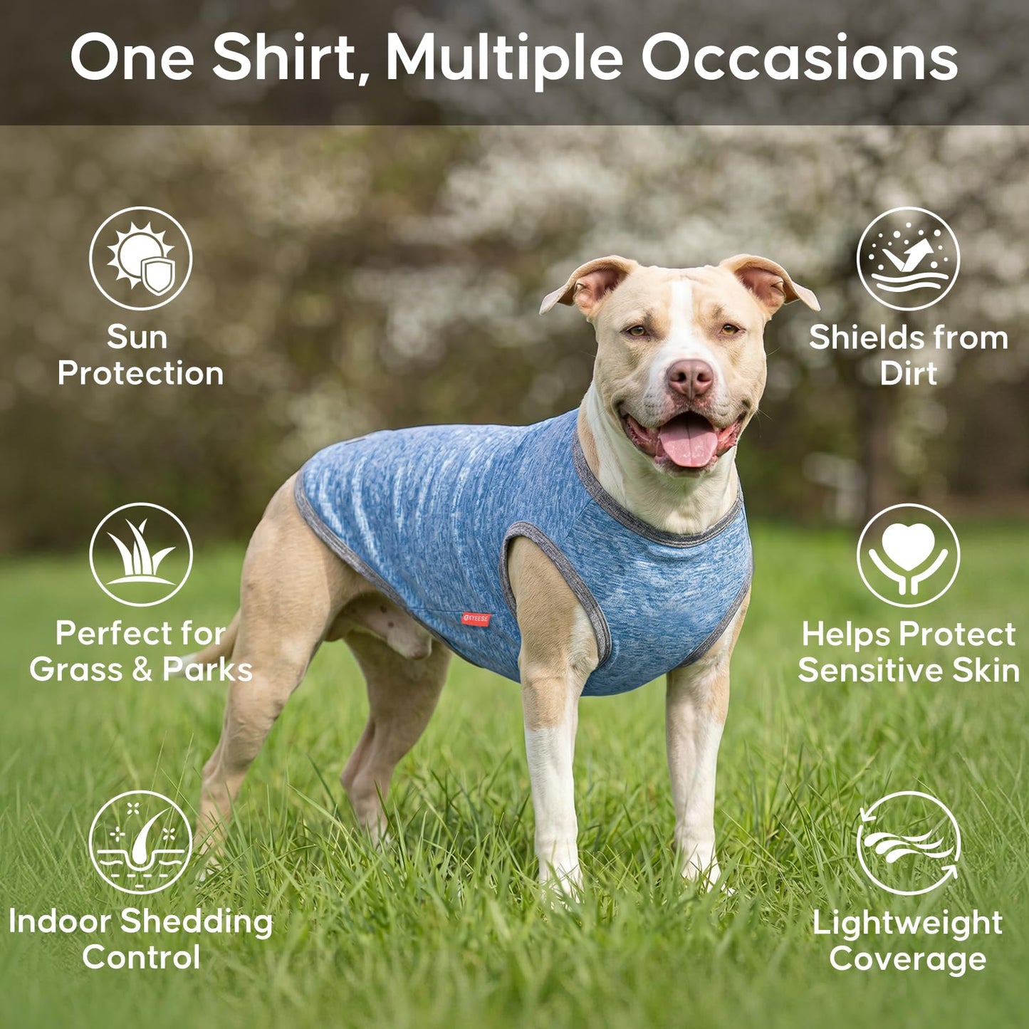 KYEESE 2Pack Dog Shirt, Lightweight Sun Protection Sleeveless Dog T Shirts for Small Dogs Boy, Breathable Pet Reflective Tank Top Summer Dogs Clothes for Outdoor Walking, Grey+Light Blue, M