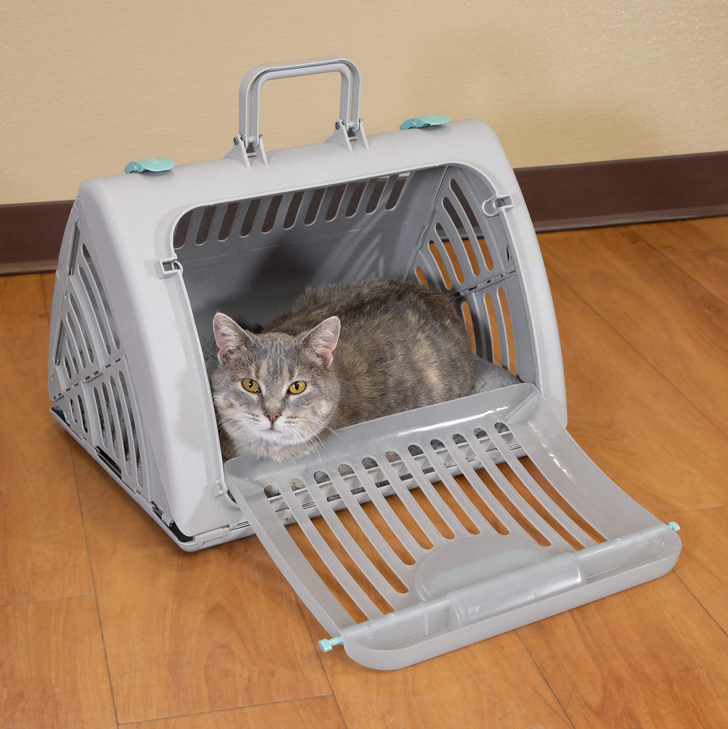 SportPet Designs Sport Pet Foldable Travel Cat Carrier with A Waterproof Bed - Front Door Plastic Collapsible Carrier, Gray (CM-10064-CS01)