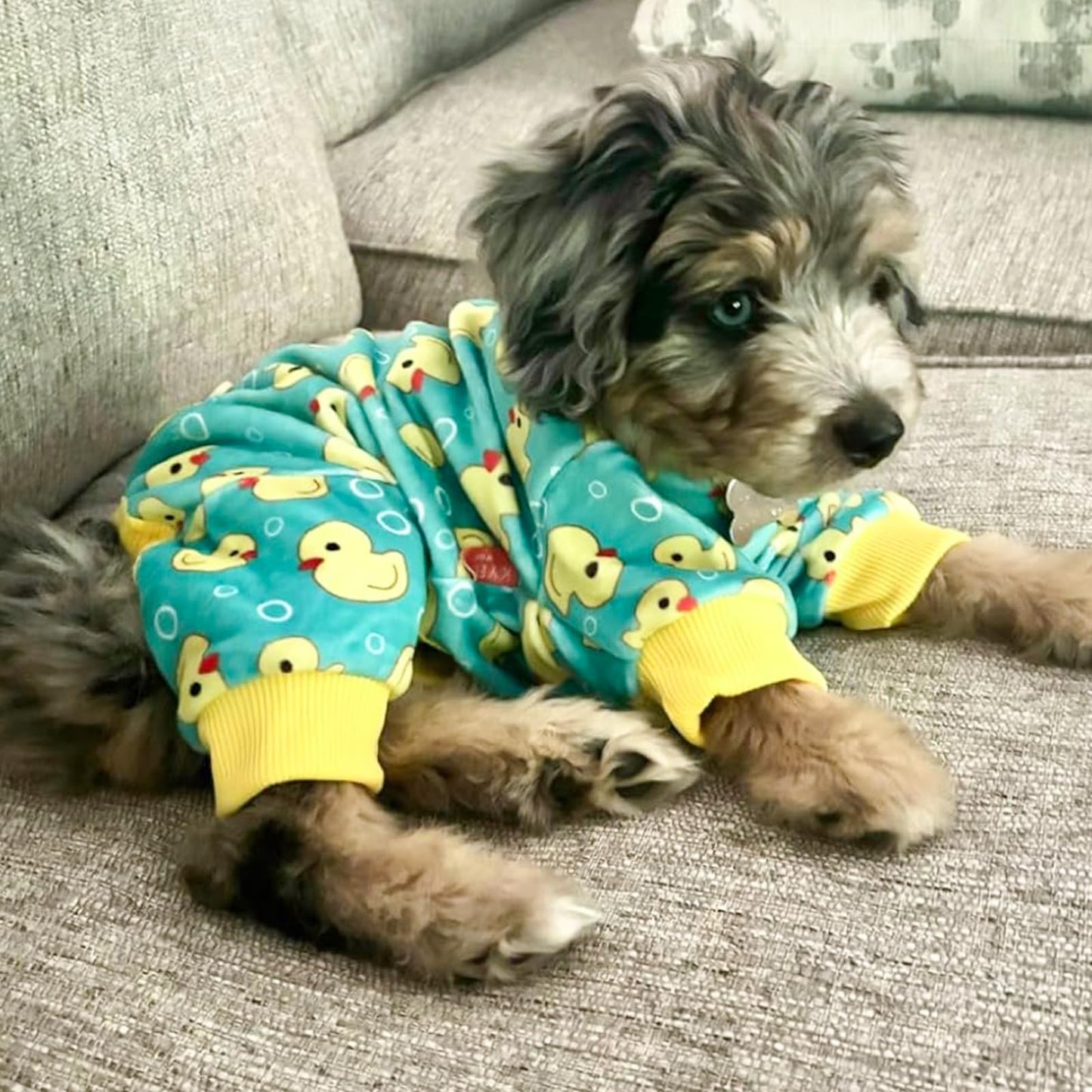 KYEESE Dog Pajamas Yellow Ducks Dog Onesie Soft Dog Costume Dog Body Suits After Surgery Dog Coat Dog Clothes Cat Clothes Dog Surgery Recovery Suit Dog Pajamas for Small Dogs Small Dog Pajamas