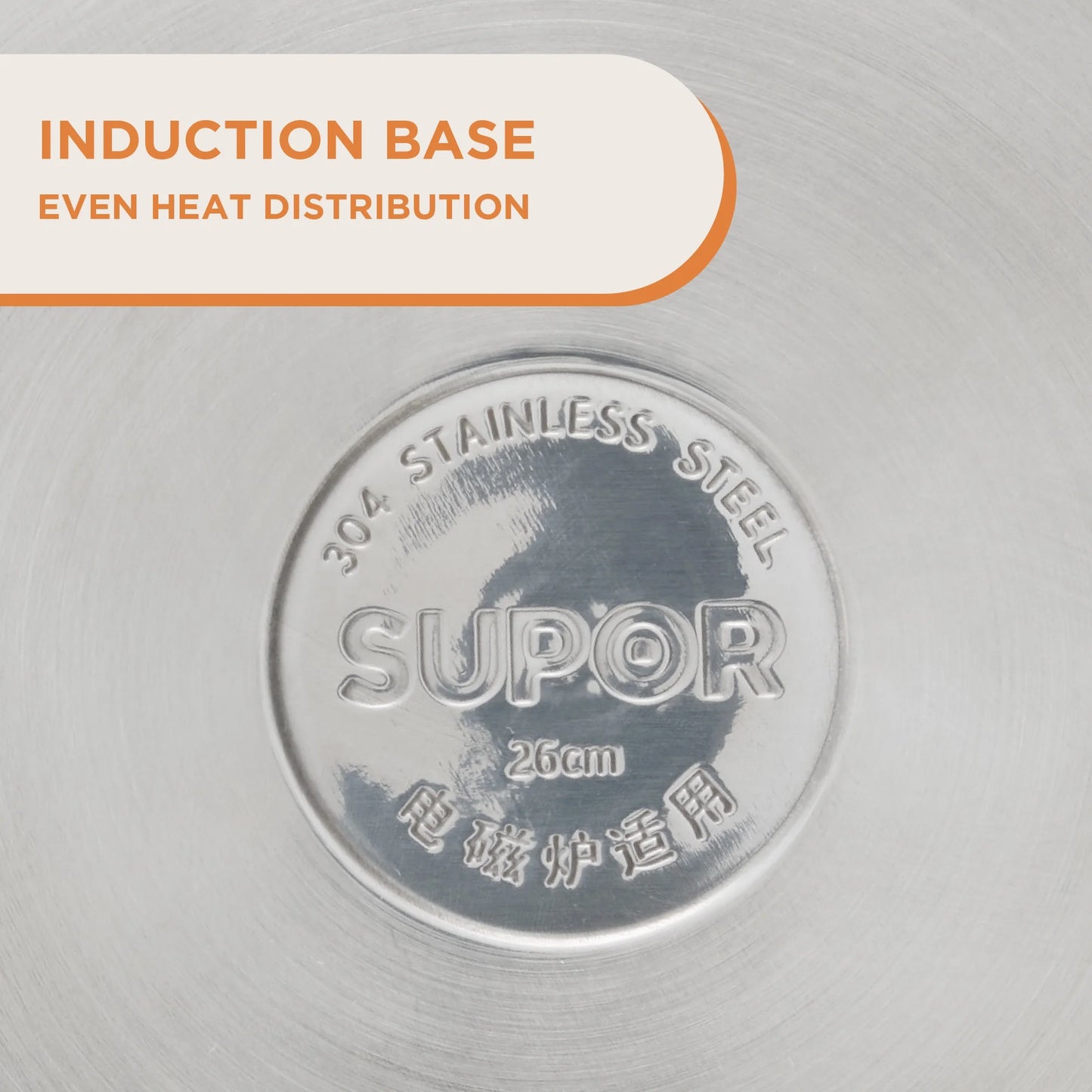 2-Tier Stainless Steel Steamer Pot with Glass Lid, 7.6QT Large, for Dumplings, Seafood, Vegetables & More