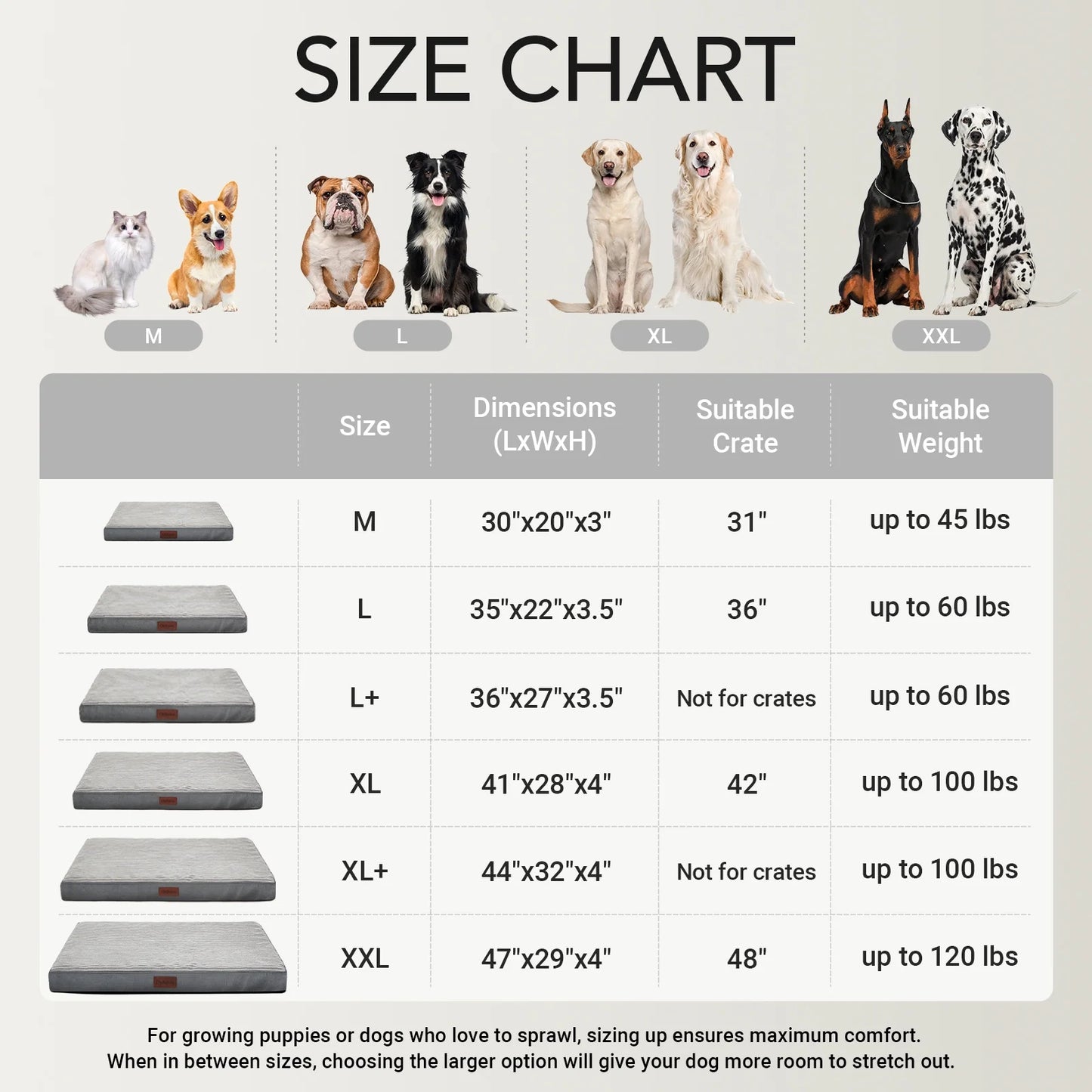 Large Orthopedic Dog Bed with Removable Washable Cover, Non-Slip Base, and Waterproof Liner, Ideal for Crates, 35" x 22" x 3.5", Gray