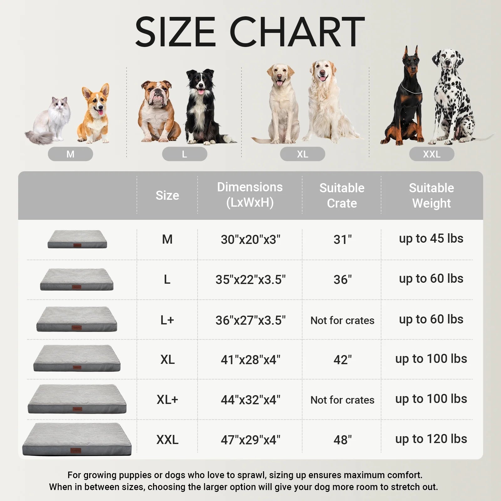 Large Orthopedic Dog Bed with Removable Washable Cover, Non-Slip Base, and Waterproof Liner, Ideal for Crates, 35" x 22" x 3.5", Gray