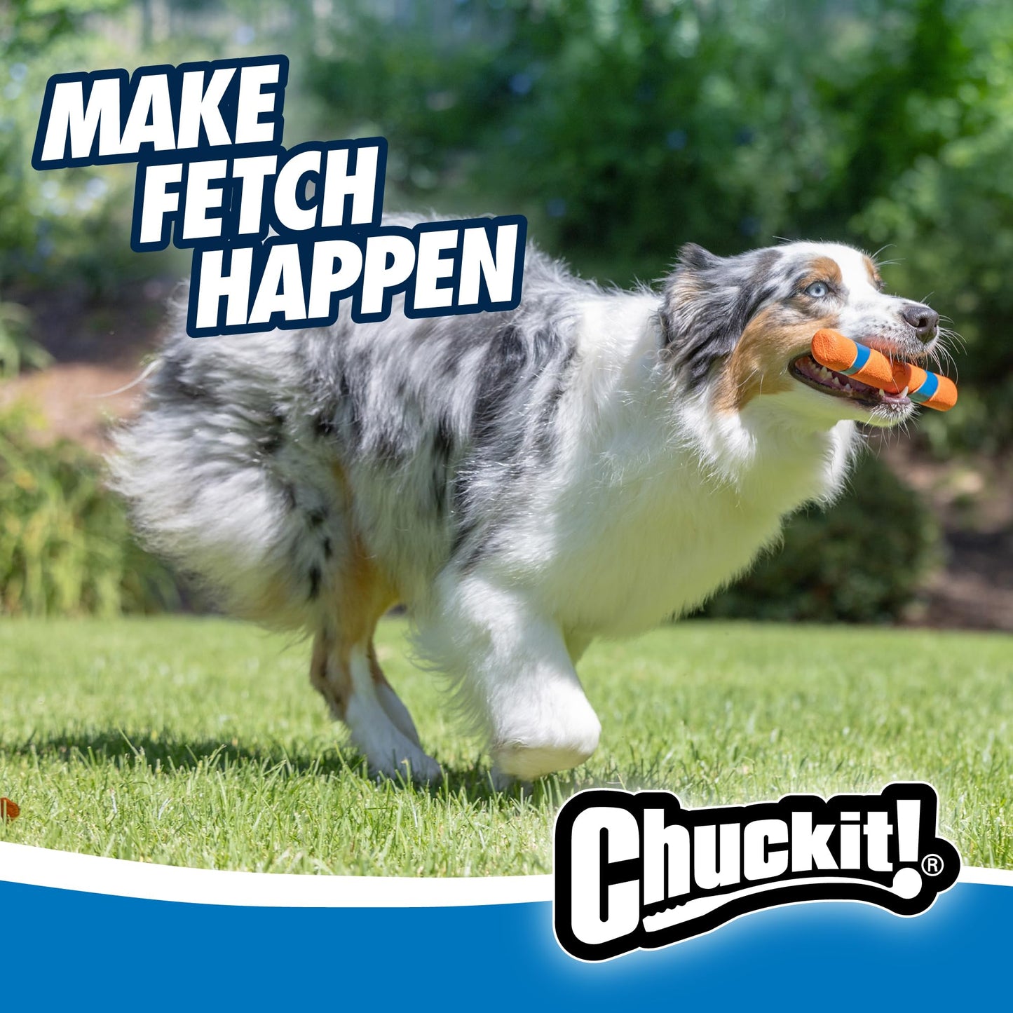 Chuckit! Interactive Dog Toy Ultra Fetch Stick - 12 Inch Outdoor Dog Toy for All Breed Sizes