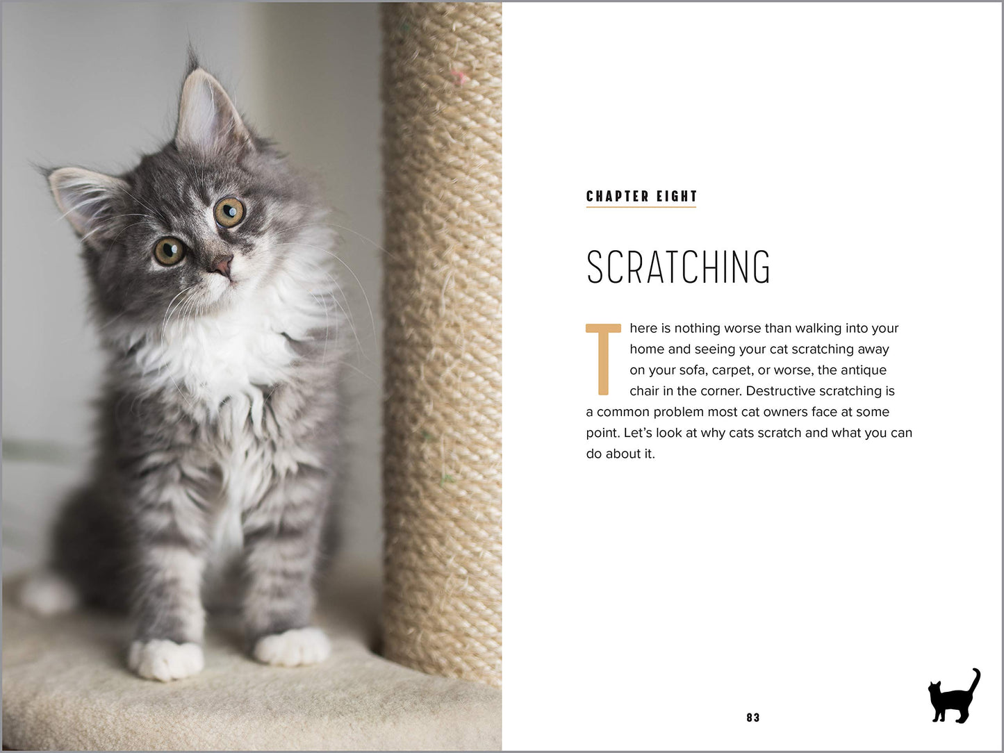 Understanding Cat Behavior: A Compassionate Guide to Training and Communication