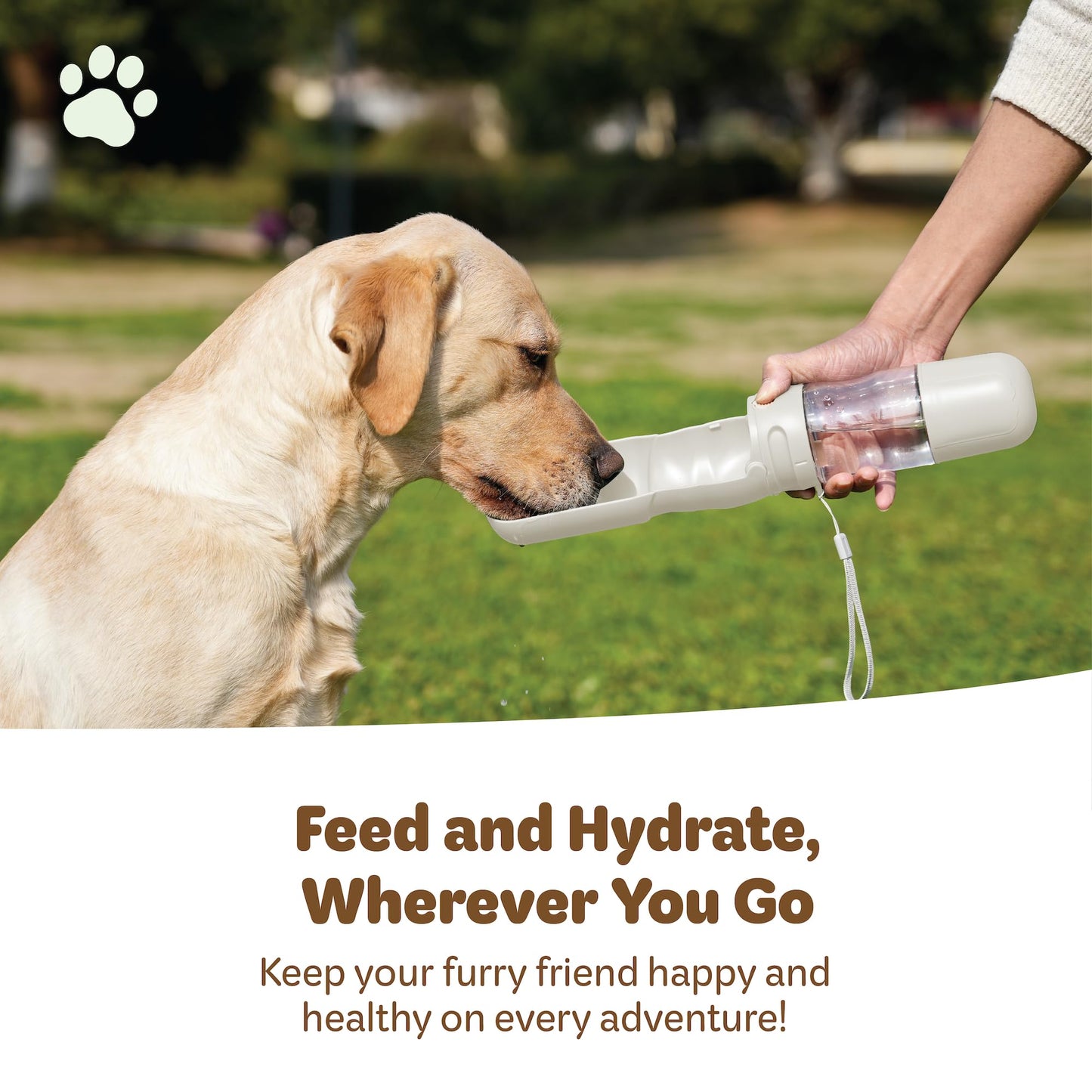 Desired Things Portable Pet Food and Water Dispenser, 2 in 1 Cat & Small Dog Water Bottle & Food Container, Lightweight, BPA Free Pet Water Bottle Traveling Essentials for Walking & Hiking - White
