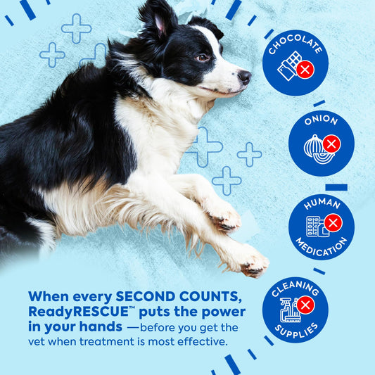 Dr. Cuddles ReadyRESCUE Activated Charcoal microspheres for Dogs and Cats - Veterinary-Grade Pet First Aid Kit Essential - Fast Acting Emergency Poison Binder - Safe and Travel Ready - 30 g Pack of 1