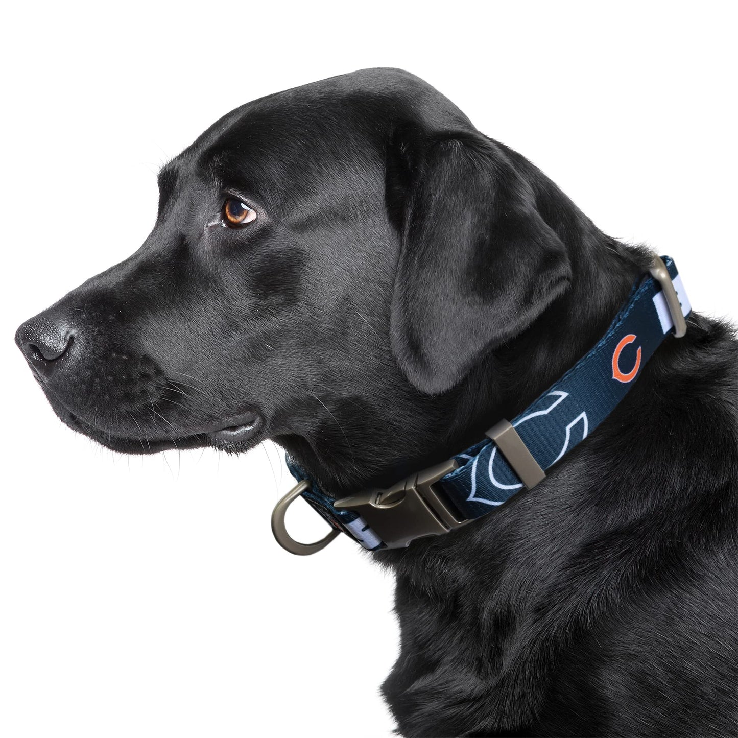 Littlearth Chicago Bears NFL Premium Pet Collar