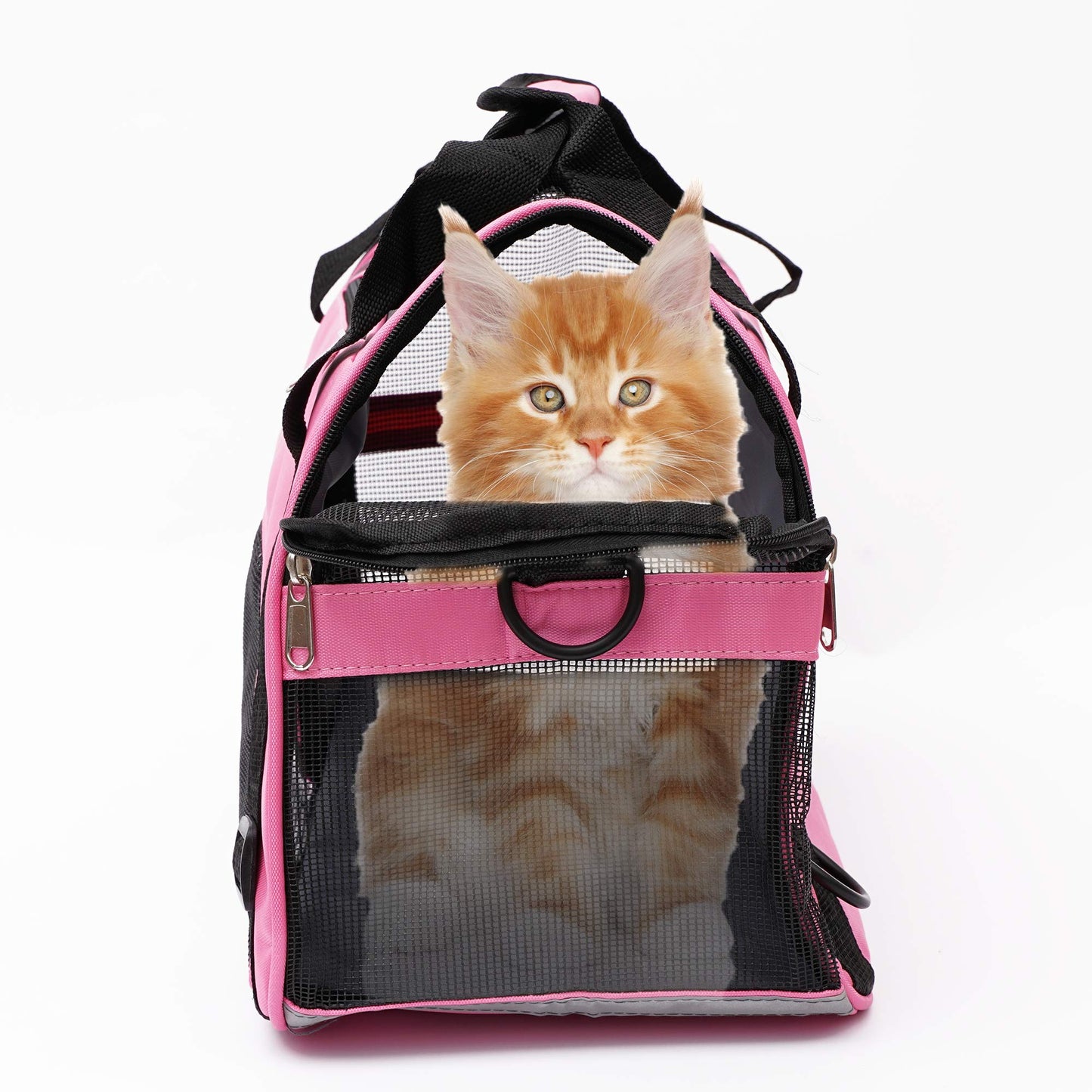 MuchL Cat Carrier for Small Cats Dogs Soft-Sided Pet Carrier for Cats Puppies Small Pets Airline Approved Lightweight Comfortable Travel Cat Dog Carrier (Small, Pink)