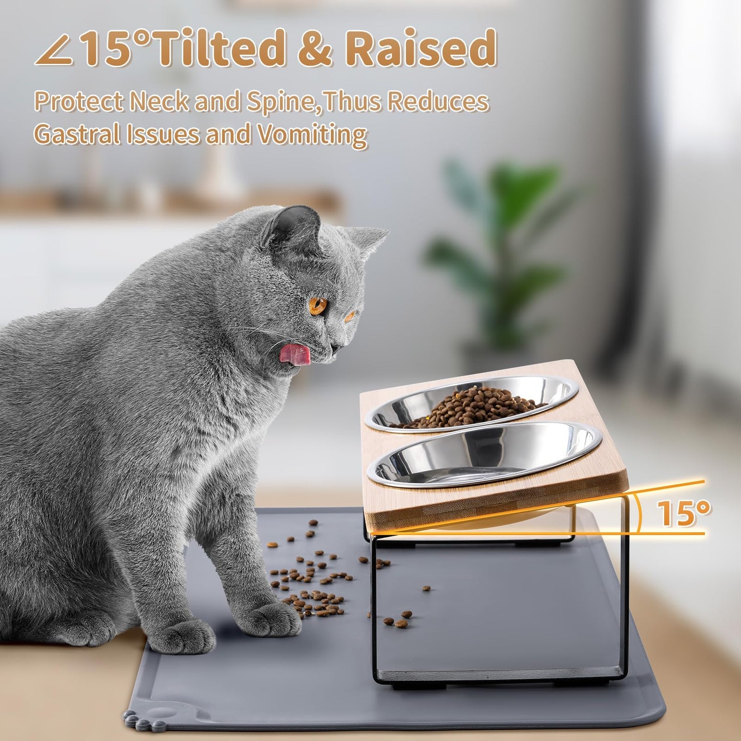 Upgraded Elevated Cat Bowls with Food Mat,15°Tilted Stand Anti Vomiting Raised Cat Dishes for Food and Water,2 Stainless Steel Bowls for Cats and Puppy