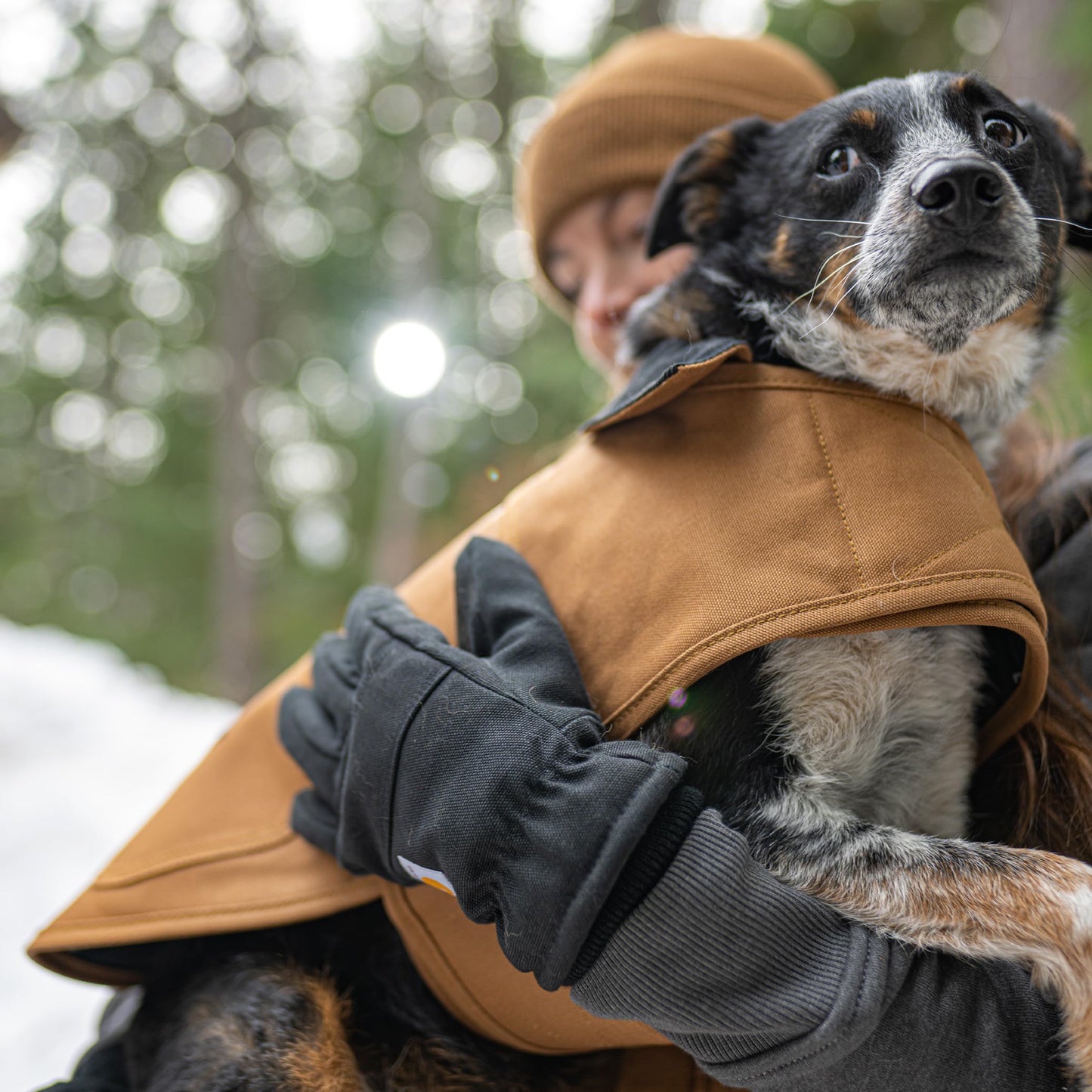 Carhartt Firm Duck Insulated Dog Chore Coat, Durable Weather Resistant Jacket for Cold and Windy Conditions, PFAS Free (Deep Wine), Small