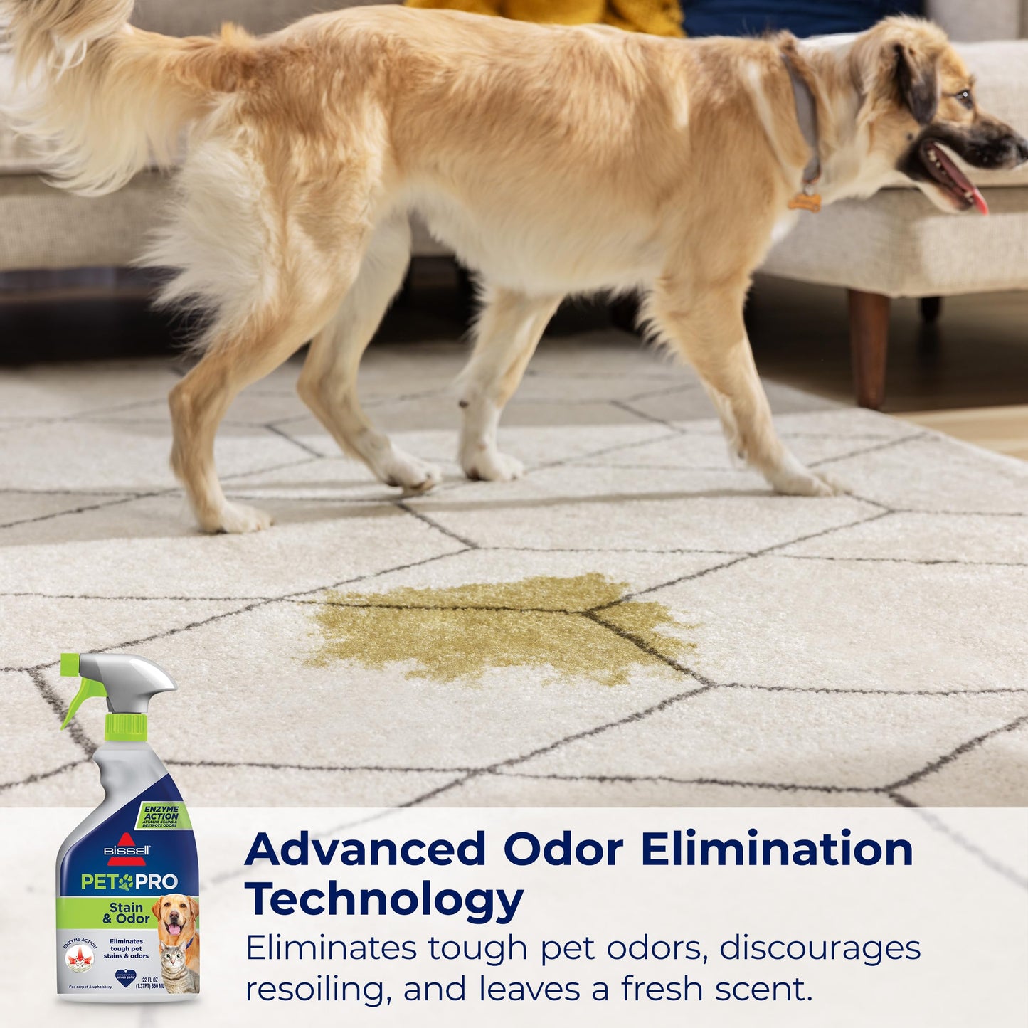 Bissell Pet Pro Stain and Odor Eliminator with Enzyme Action, 2 pack, 77X7F