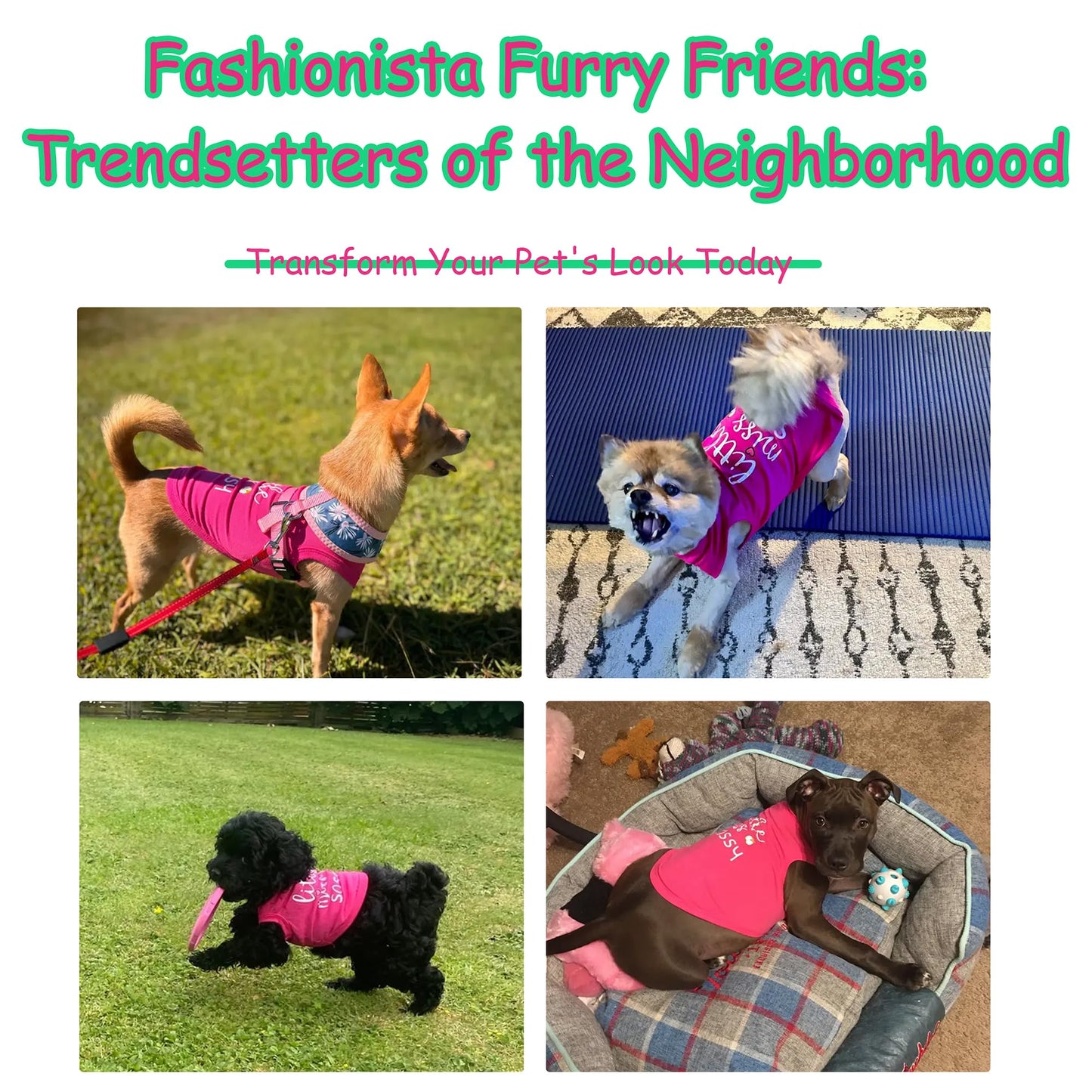 Paiaite Dog Clothes Fashionable Sleeveless Pet Vest: 'Little Miss Sassy' Printed Cotton Dog Shirt, Ideal for Small, Medium, and Large Breeds, Ensuring Comfort and Breathability Rose Red S