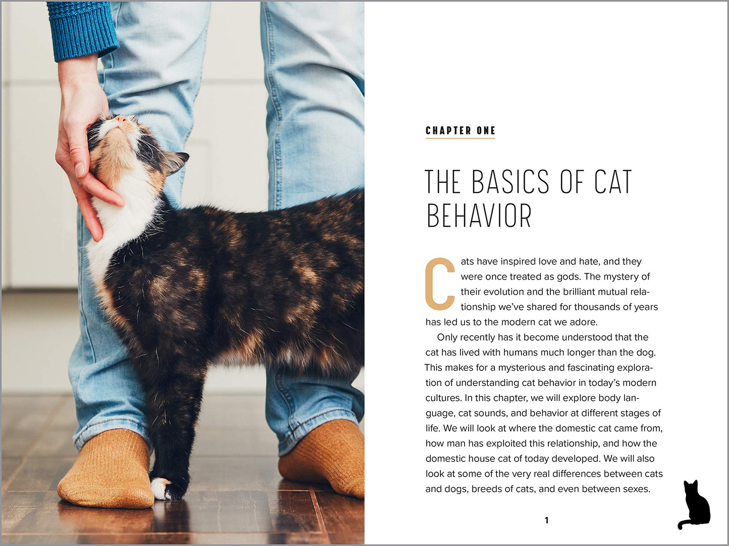 Understanding Cat Behavior: A Compassionate Guide to Training and Communication