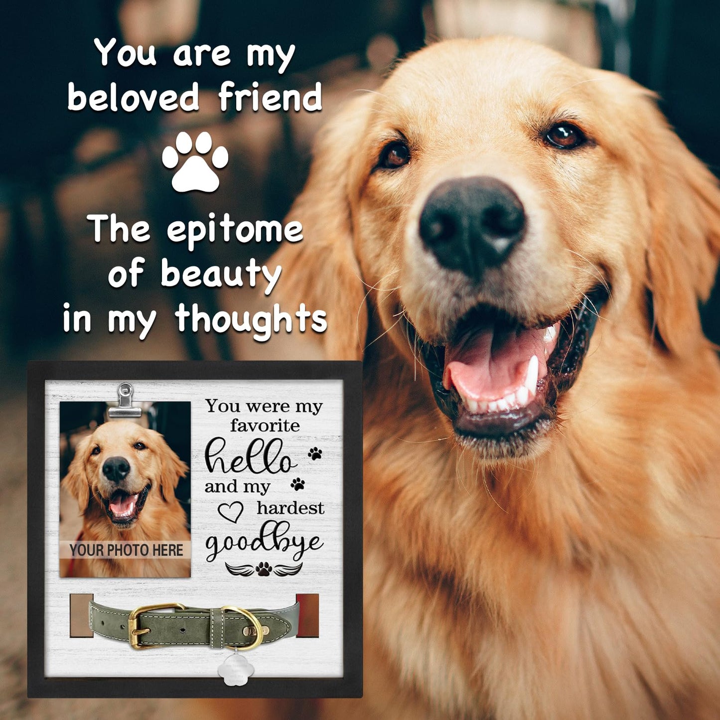 PUREFLY Dog Memorial Gifts for Loss of Dog, Loss of Dogs Sympathy Gift Pet Loss Sympathy Frame with Collar Holder, Pet Cat Remembrance Bereavement Gift