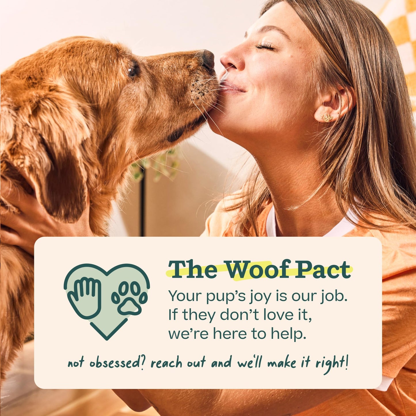 WOOF Dog Pupsicle Mix - Easy-to-Make DIY Pupsicle Refills - Tasty, Healthy Pupsicle Mix - Wholesome Ingredients - Long-Lasting Treats for Dogs - Balanced Belly Mix