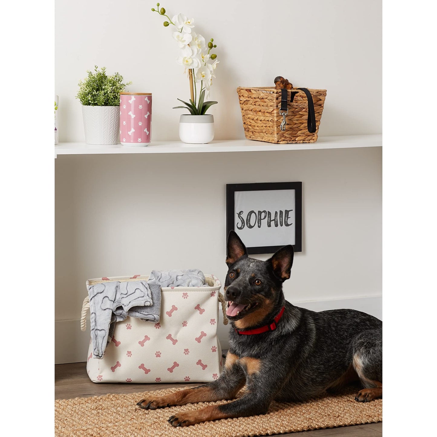 Bone Dry Pet Storage Collection Paw and Bone Print, Small Rectangle, 14x8x9", Rose