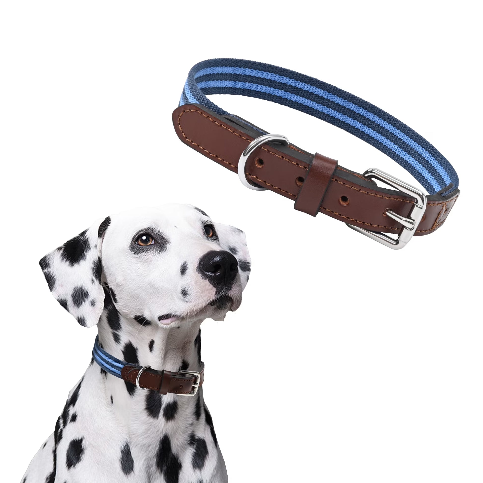 | Genuine Leather Dog Collar | Heavy Duty Canvas Dog Collars with Adjustable Rust-Proof Metal Pin Buckle | Boy Dog Collars for Small Dogs(Blue)