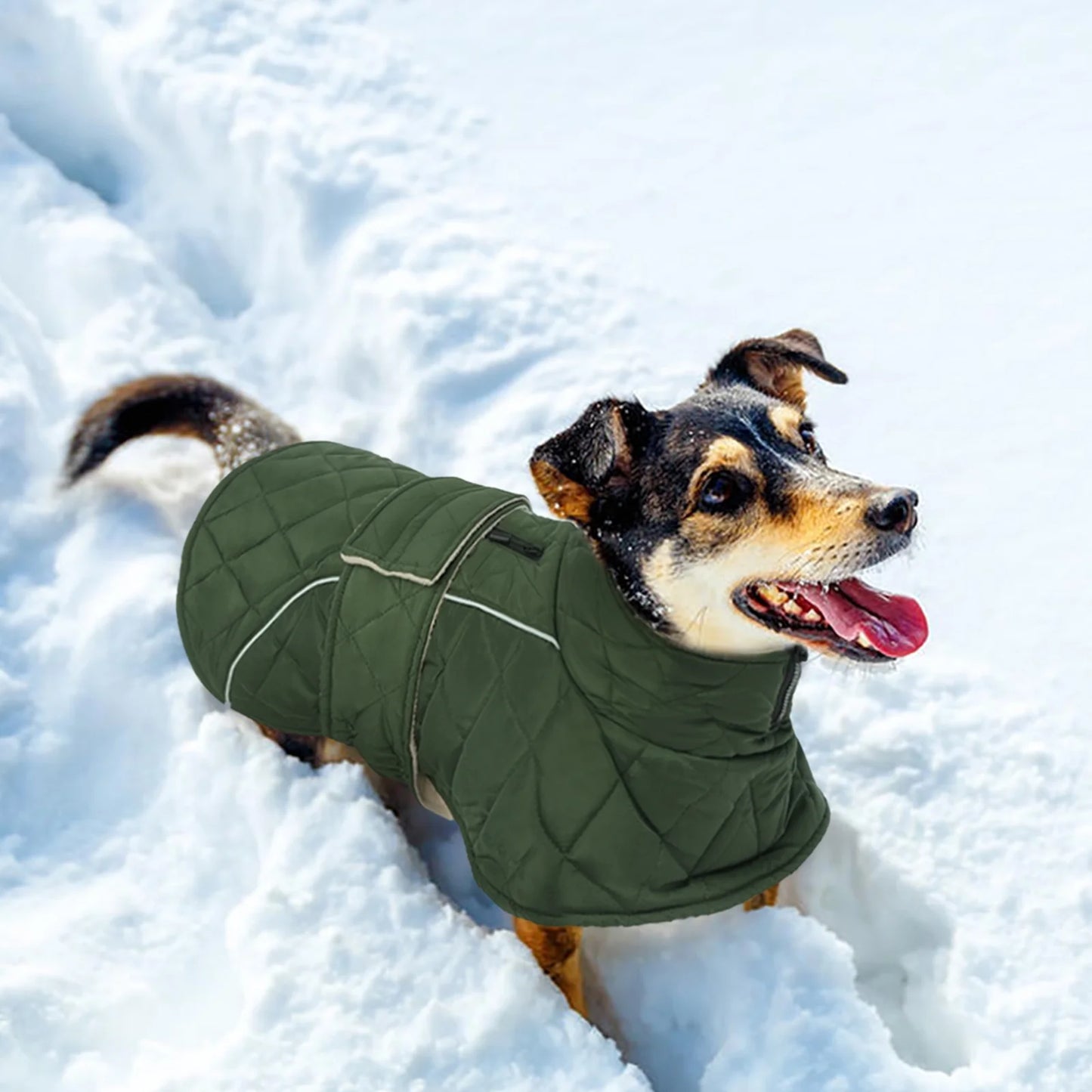 Winter Dog Coat - Warm Jacket for Small, Medium, and Large Dogs in Green, Size M