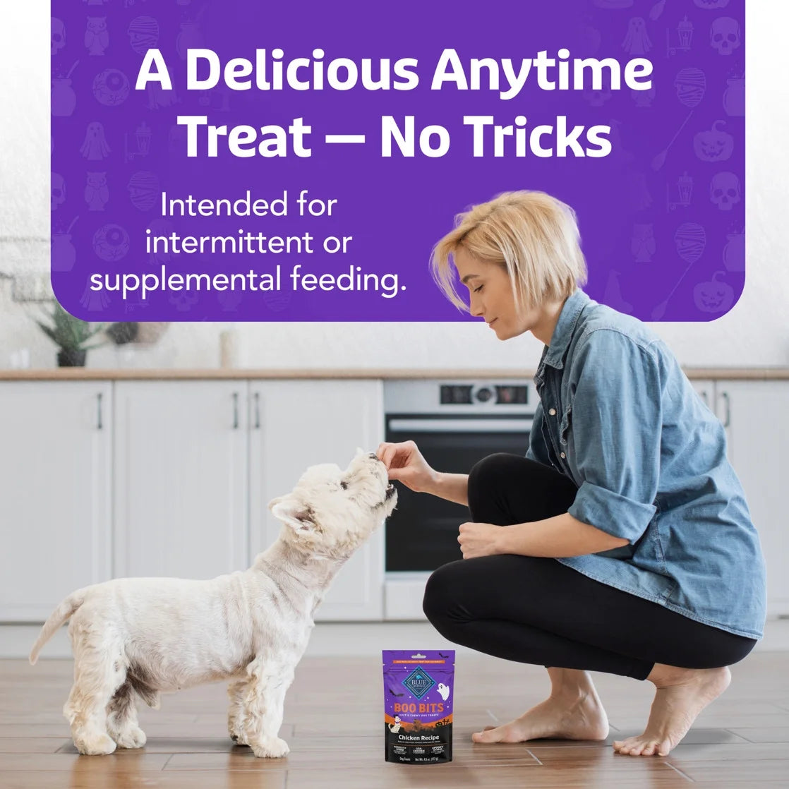 Boo Bits Soft & Chewy Halloween Dog Treats with Tasty Chicken Recipe, 4.5 oz