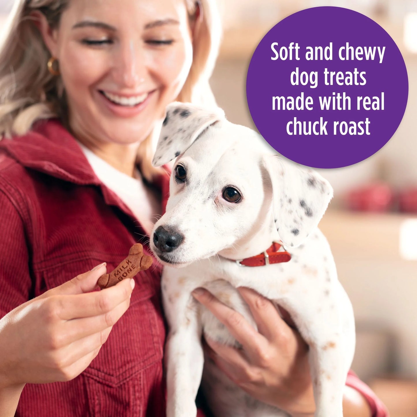 Milk Bone Soft and Chewy Dog Treats, Beef and Filet Mignon Recipe with Chuck Roast, 25 oz Container
