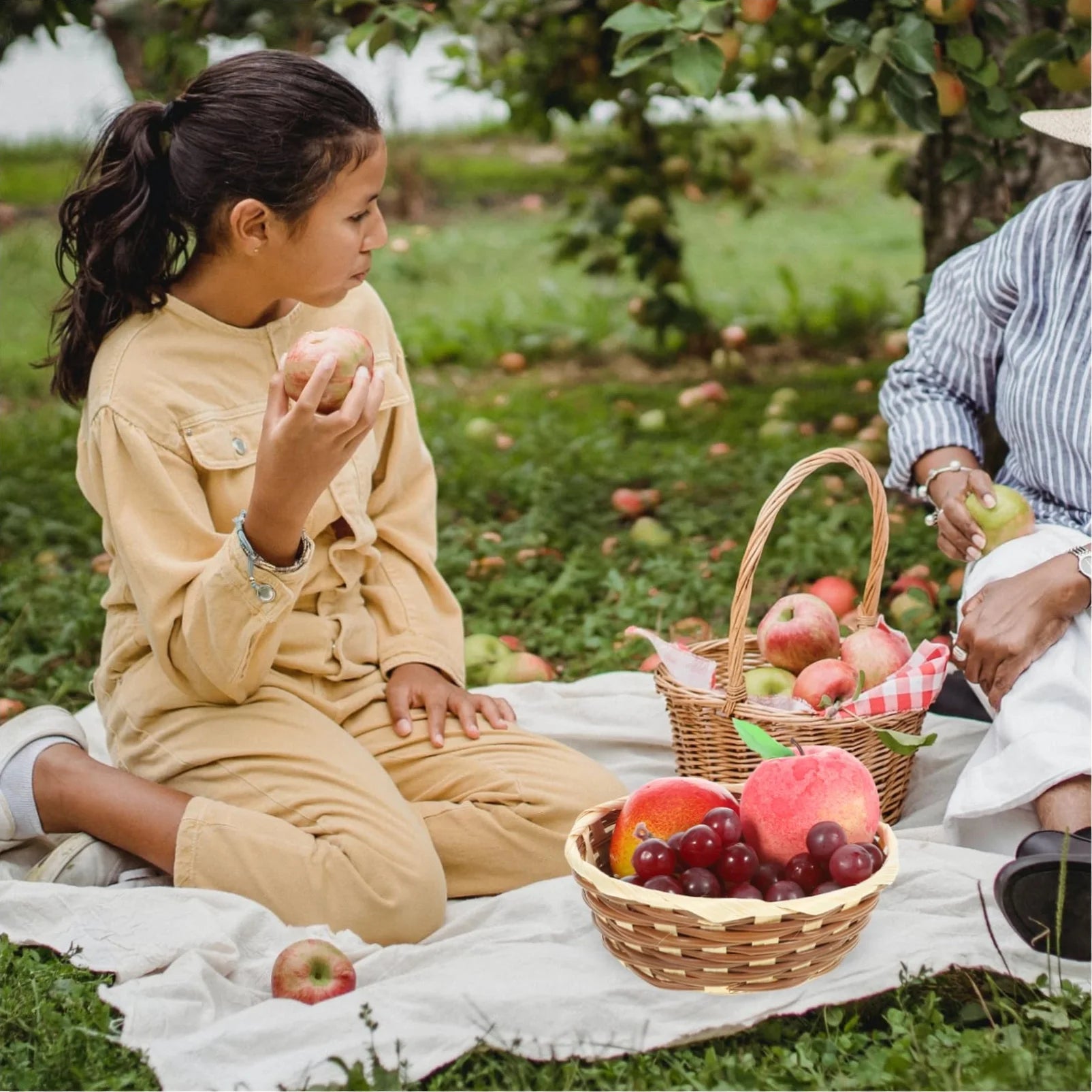 12 Pack round Gift Baskets, 6.5" Bamboo Small Bread & Fruit Baskets, Woven Bread Roll Baskets, Food Serving Baskets, Food Storage Basket for Kitchen Restaurant Display Decor