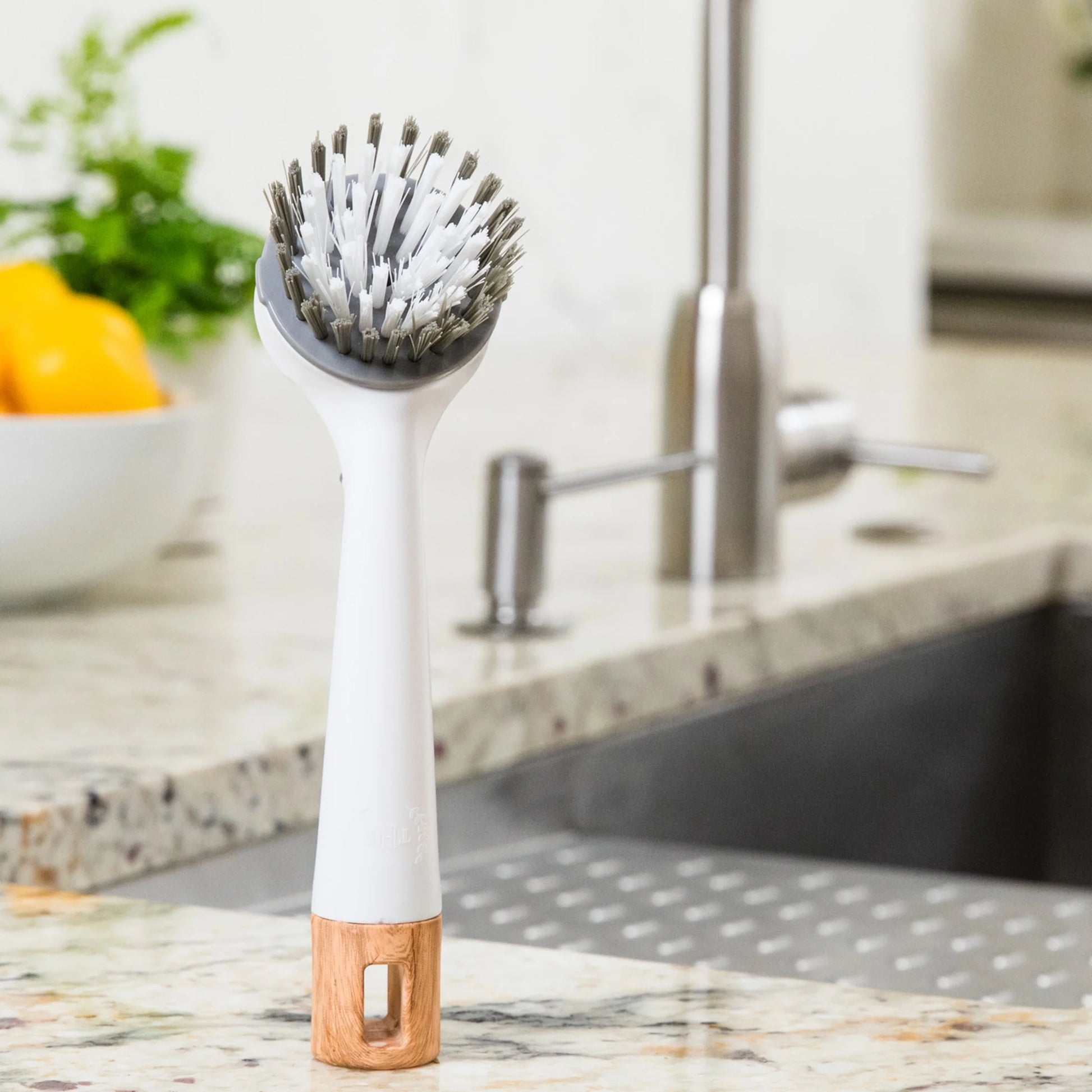 Dish Brush with Nylon Bristles