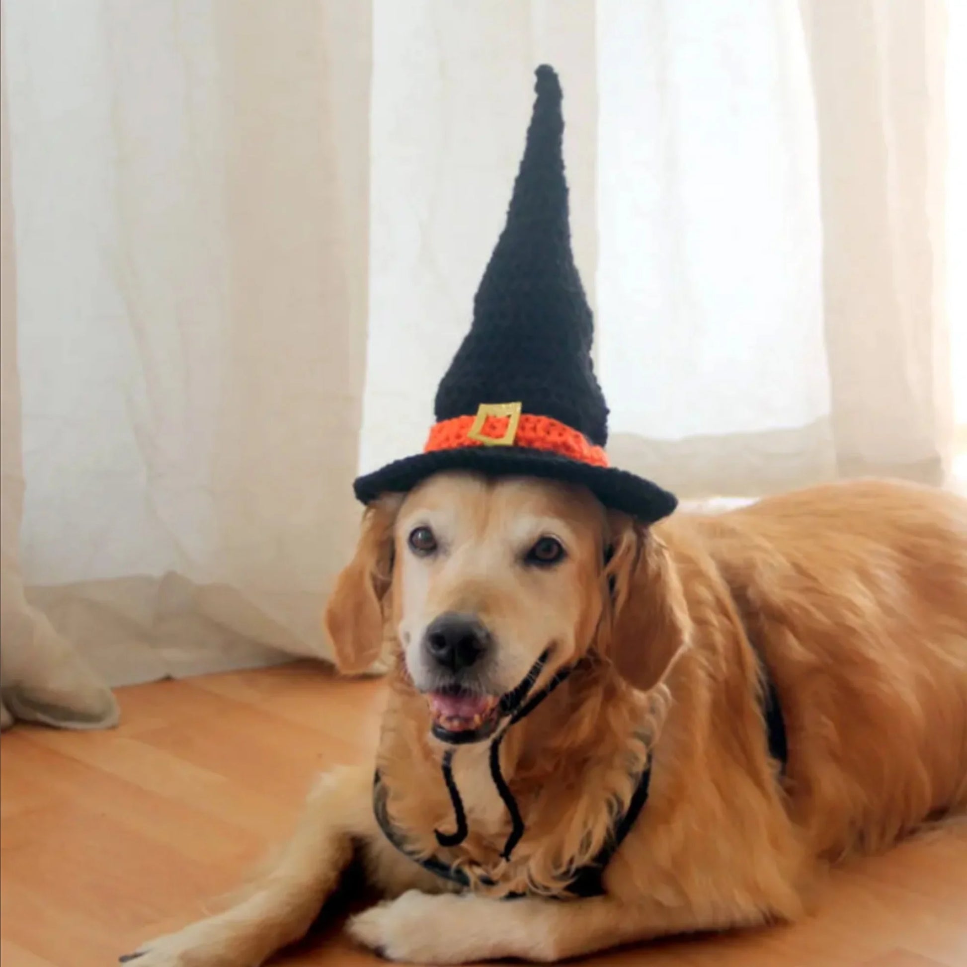 Halloween-Themed Pet Witch Hat for Dogs and Cats -  Costume Accessory