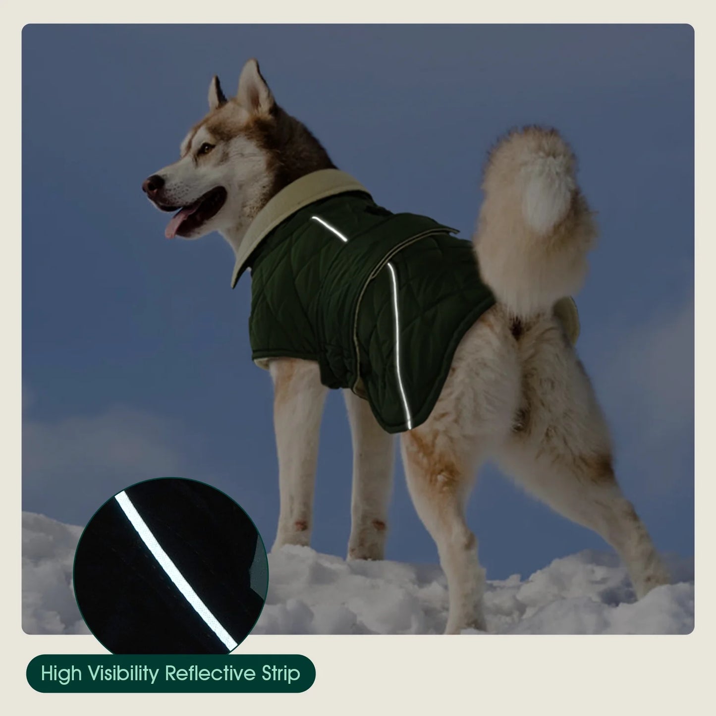 Winter Dog Coat - Warm Jacket for Small, Medium, and Large Dogs in Green, Size M