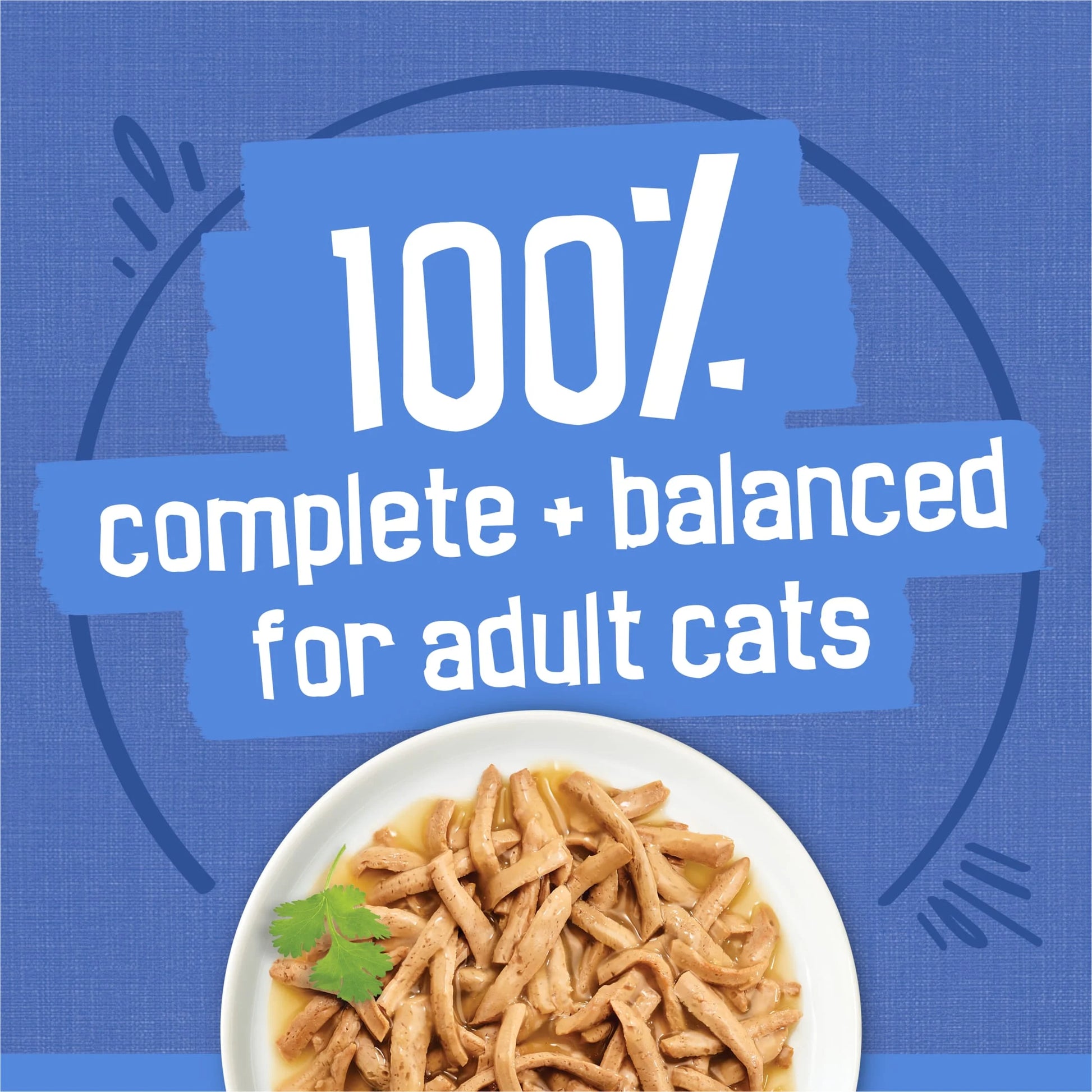 Purina  Shredded Gravy Variety Pack, Wet Cat Food, 5.5 oz Cans, 40 Count