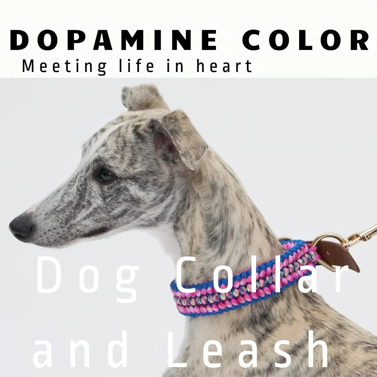 Adjustable Dog Collar and Leash Set, Reflective Collars with Brass Buckle and D-Ring for Medium Dogs Walking and Training