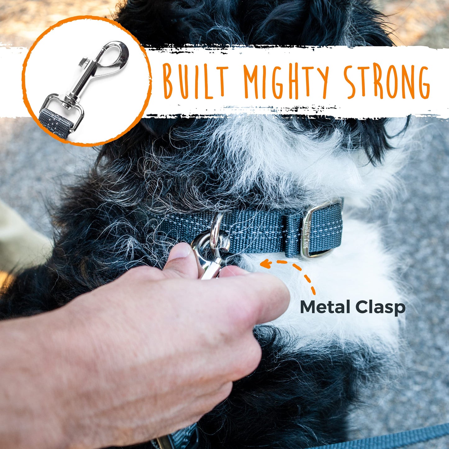 Mighty Paw Double Dog Leash - Double Leash for Two Dogs No Tangle Design. Split Lead for 2 Pets. Adjustable to Fit All Sized Breeds. Reflective Dual Pet Lead Splitter for People with 2 Pups