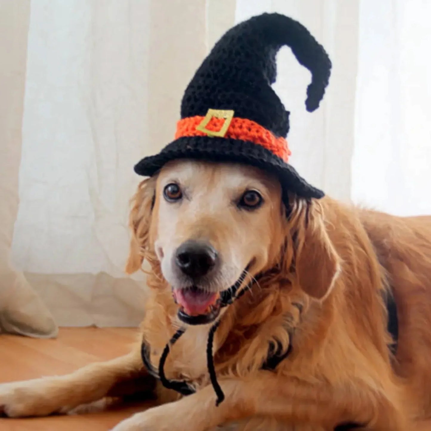 Halloween-Themed Pet Witch Hat for Dogs and Cats -  Costume Accessory