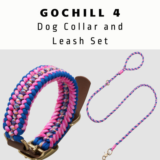 Adjustable Dog Collar and Leash Set, Reflective Collars with Brass Buckle and D-Ring for Medium Dogs Walking and Training