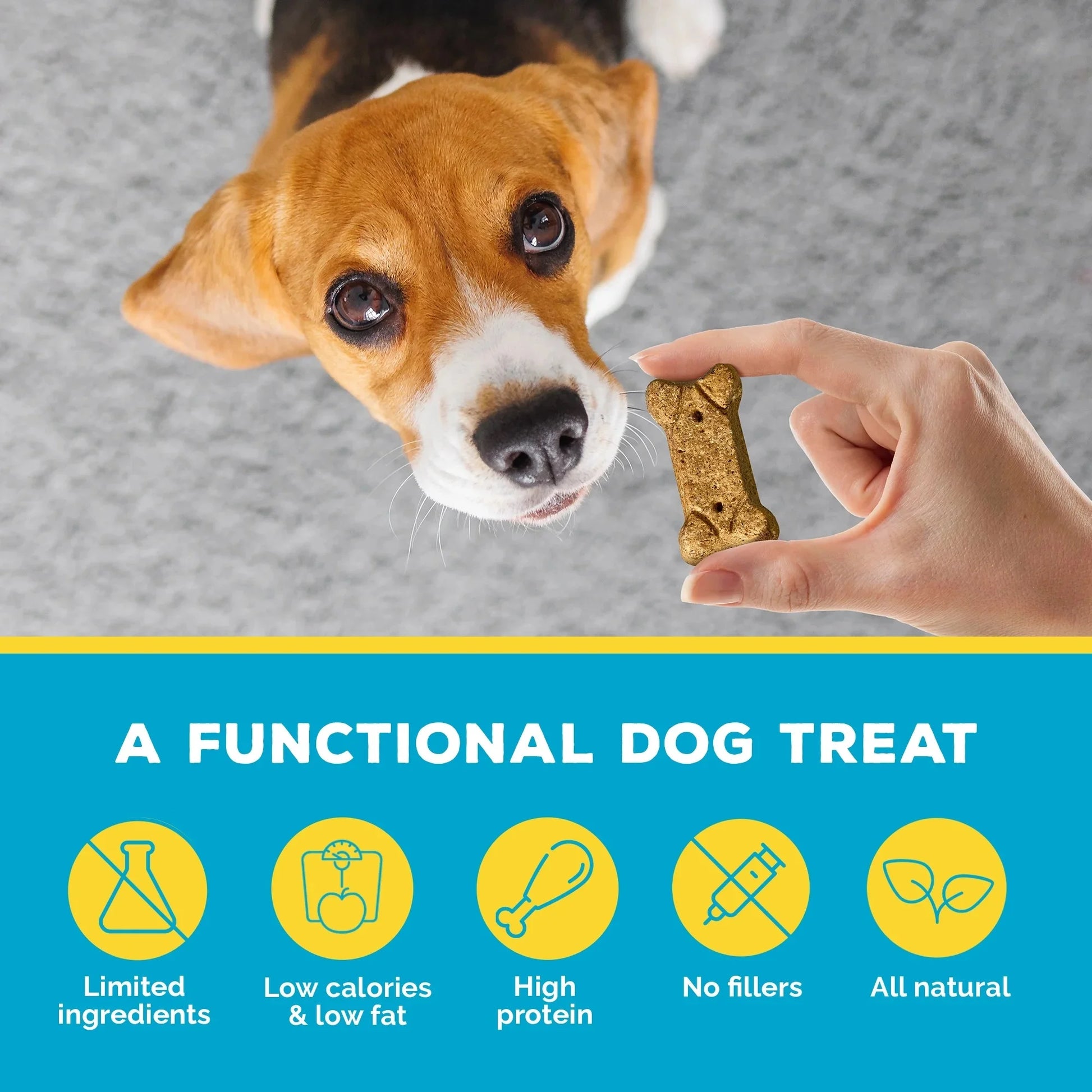 Beef Bone Broth Biscuits - Nutritious Dog Treats and Food Topper - Natural Ingredients for Joint Health - 18g Protein - 8 oz