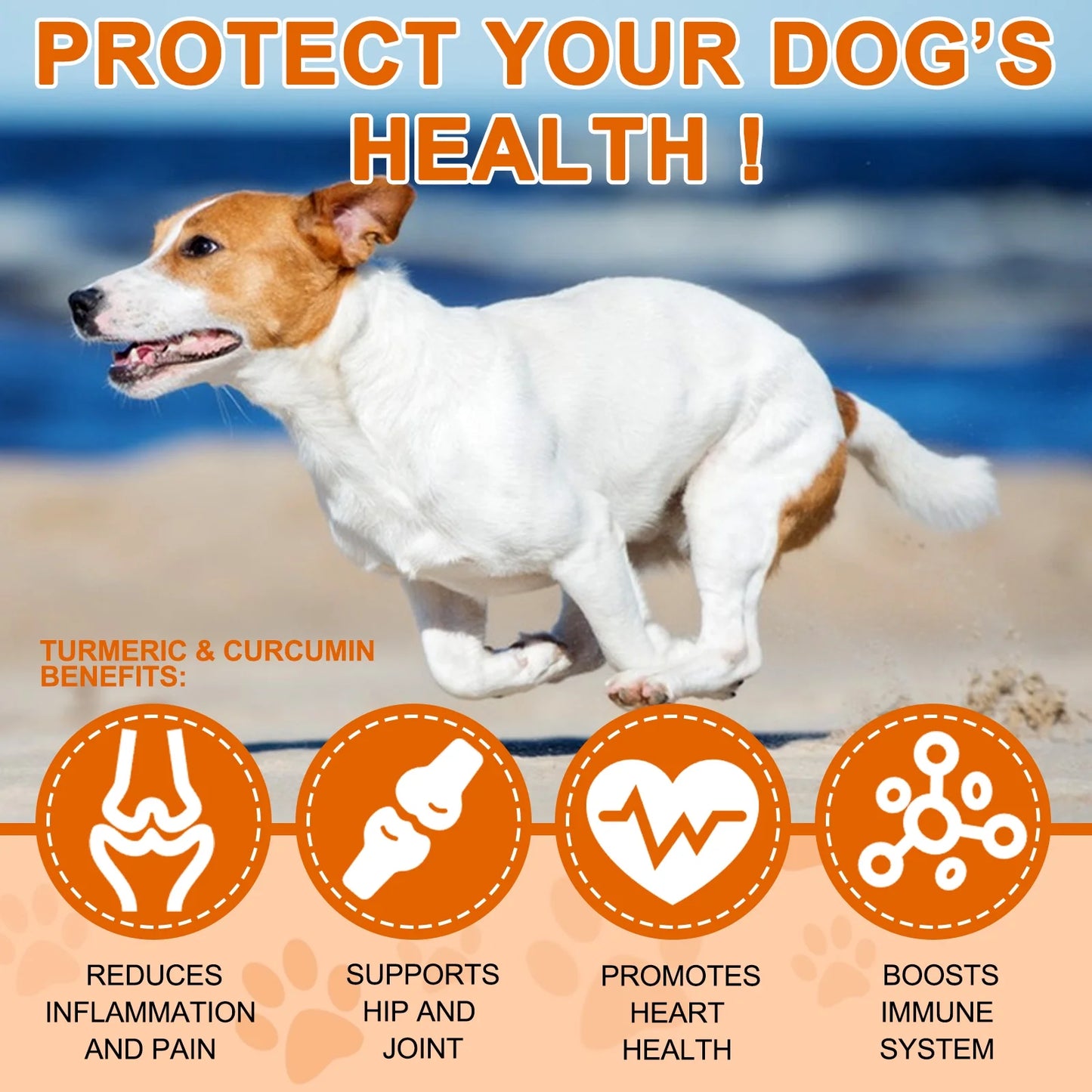 Turmeric Curcumin for Dogs - Dogs Hip and Joint Aid + Support - Heart & Immune Support - Health Supplement with Organic Turmeric, Vitamin B - 180 Chewable Tablets