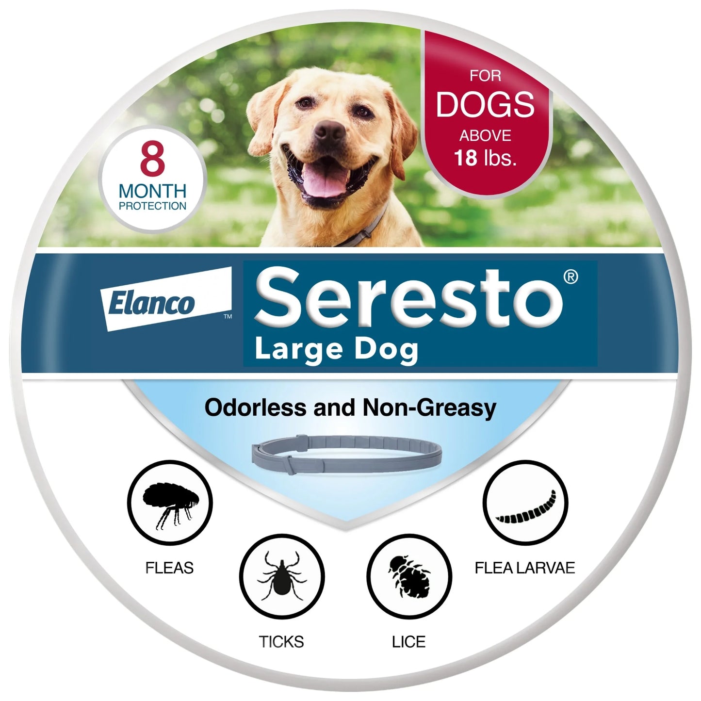 8-Month Flea and Tick Prevention Collar for Large Dogs (18+ lbs) - 2 Pack, Vet-Recommended