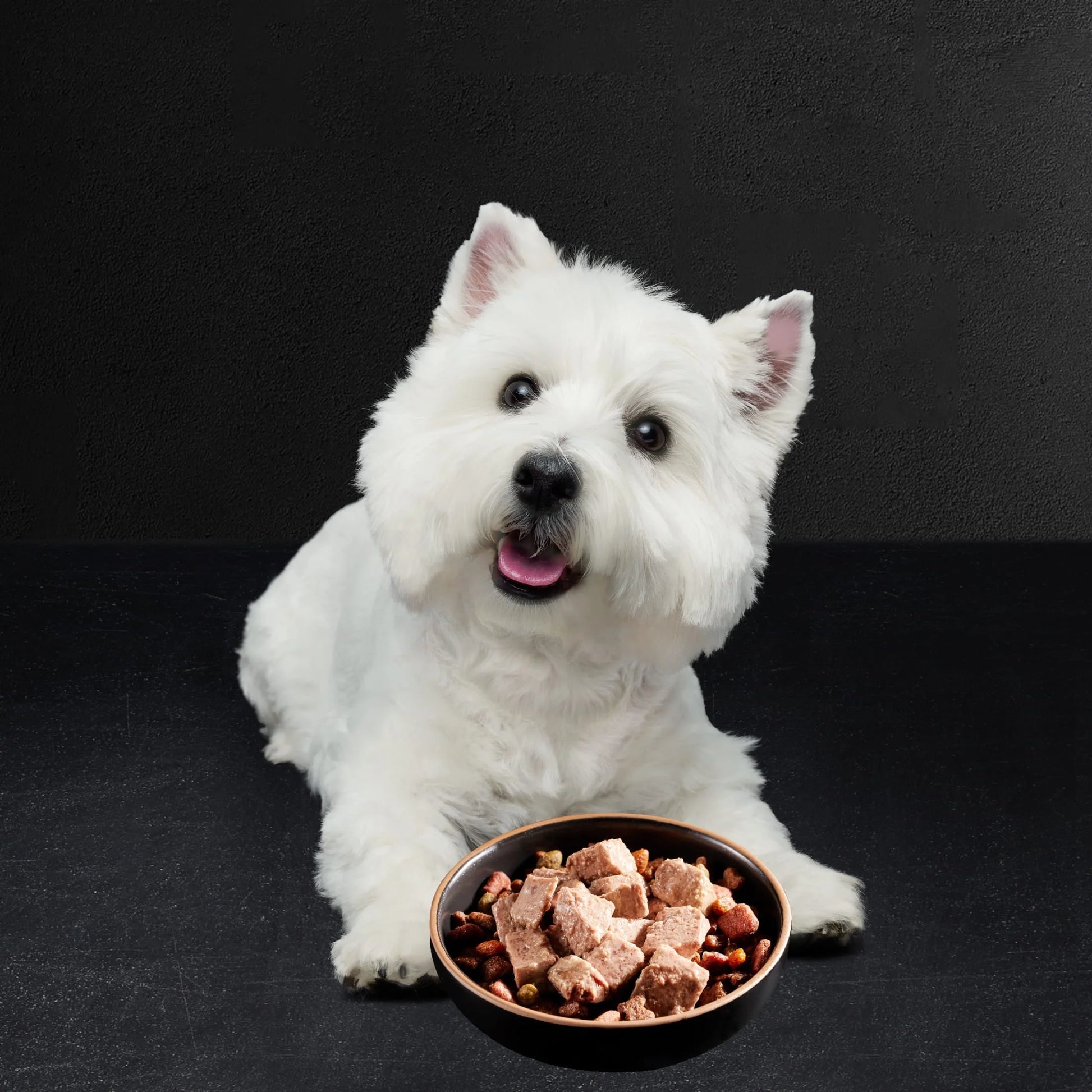 Wet Dog Food Variety Pack, 3.5 Oz Trays - 24 Count