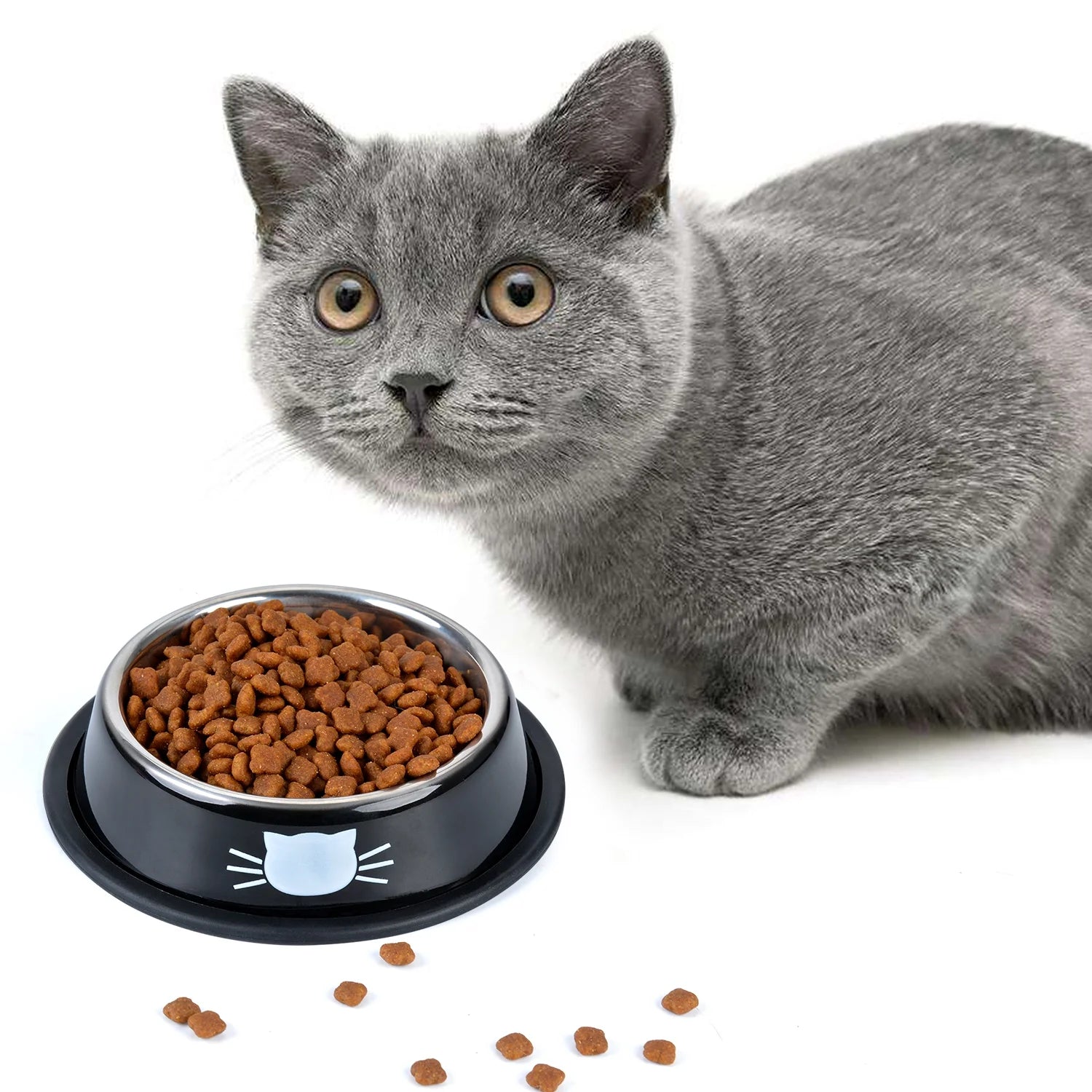 2PCS Pet Bowl Stainless Steel Non-Skid Cute Dog Bowl Cat Bowl with 2 Food Scoop