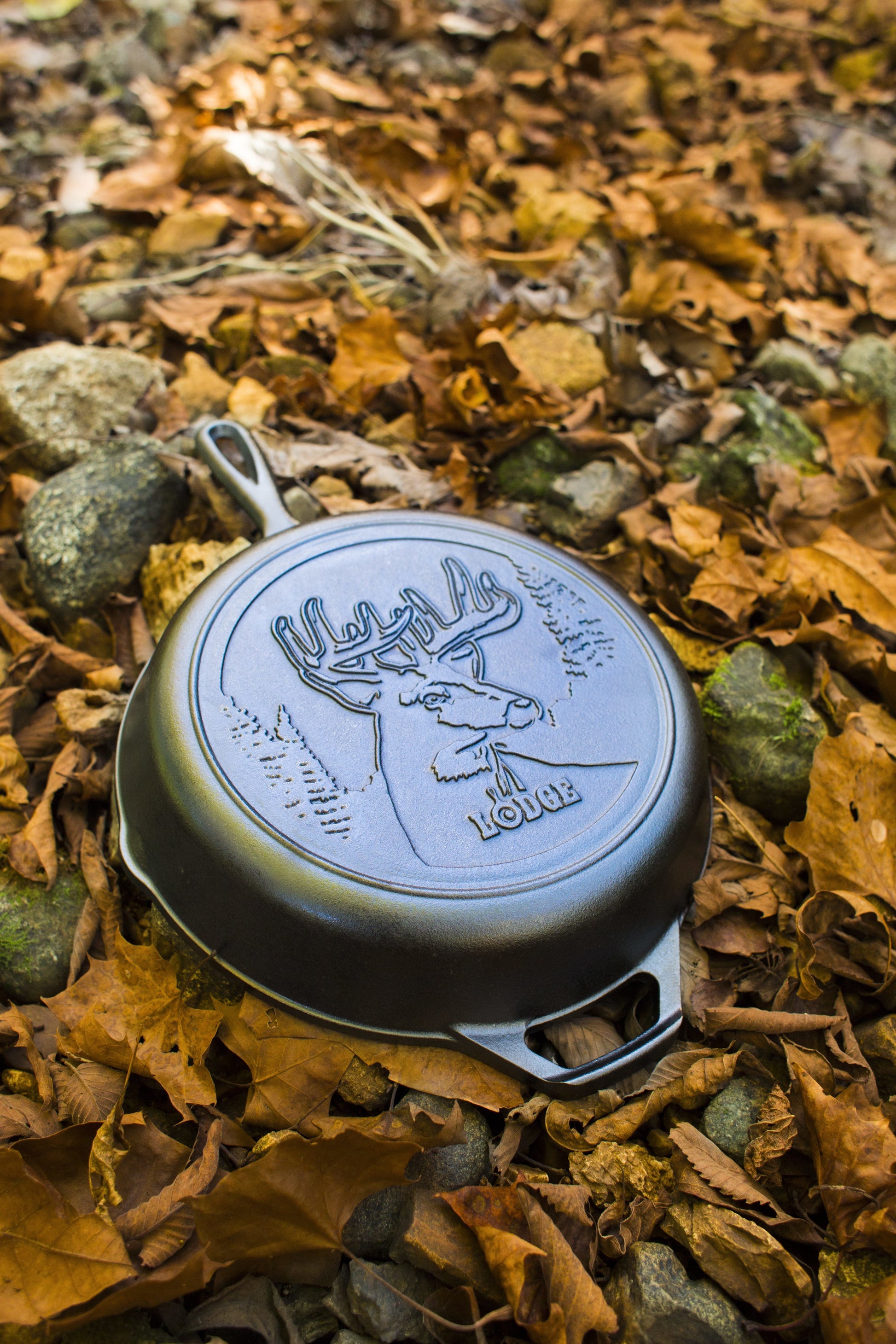 Cast Iron 3 Piece Wildlife Set